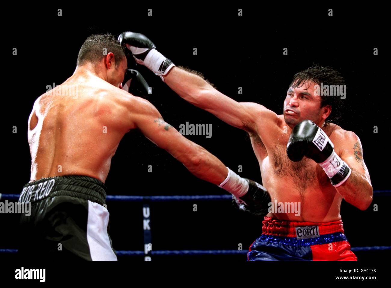 Sammenhængende lindre Ark Boxing - WBF Super Middleweight Championship - Robin Reid v Julio Cesar  Vasquez Stock Photo - Alamy