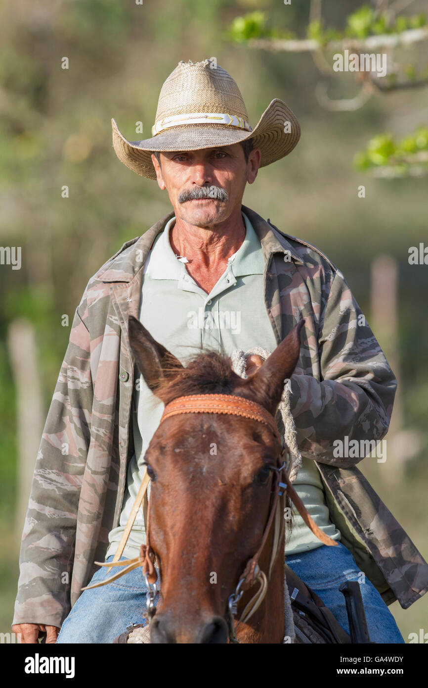 Cowboy on horse hi-res stock photography and images - Alamy