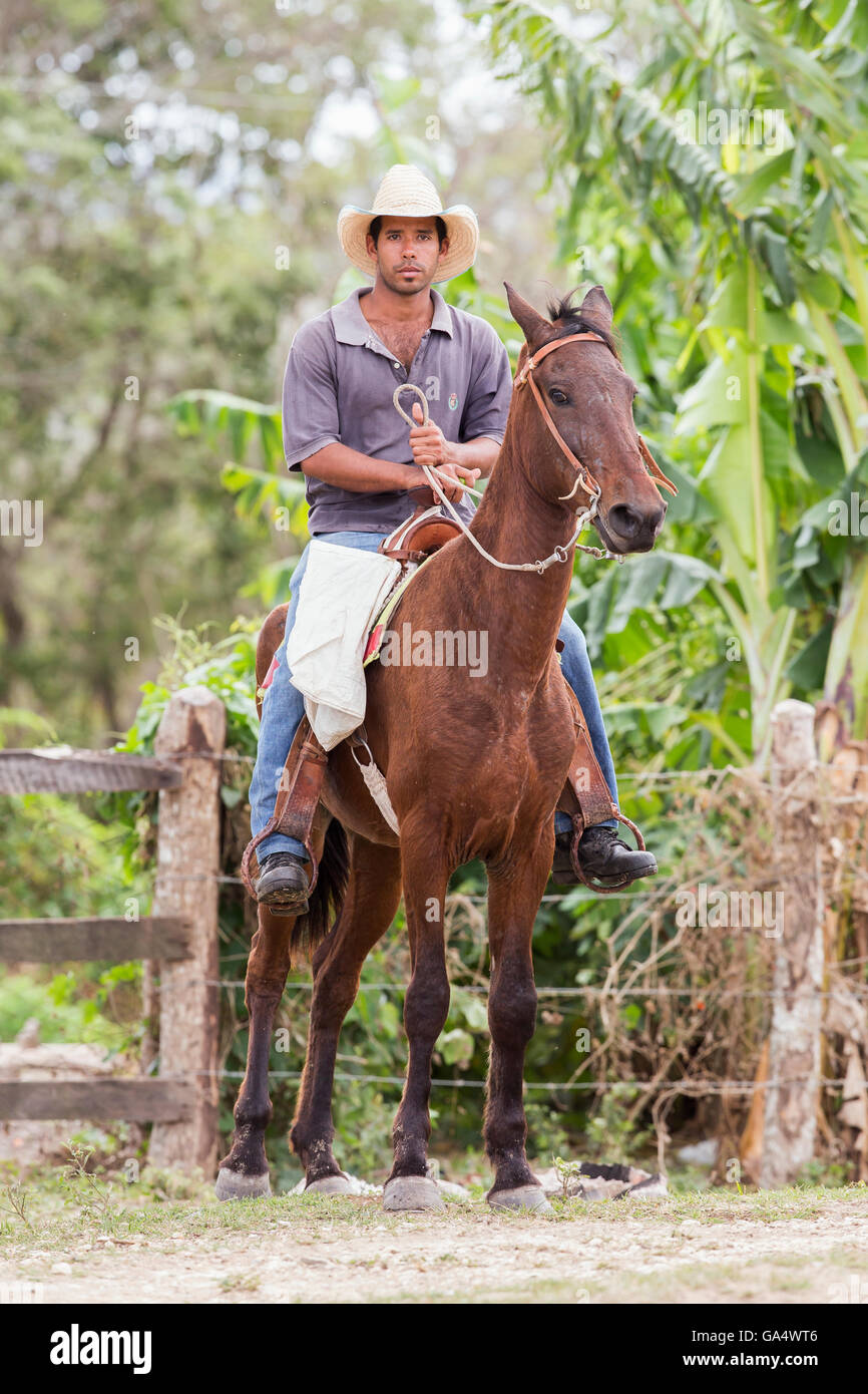 Handsome young cowboy on horseback at Hacienda La Belen, Cuba Stock Photo