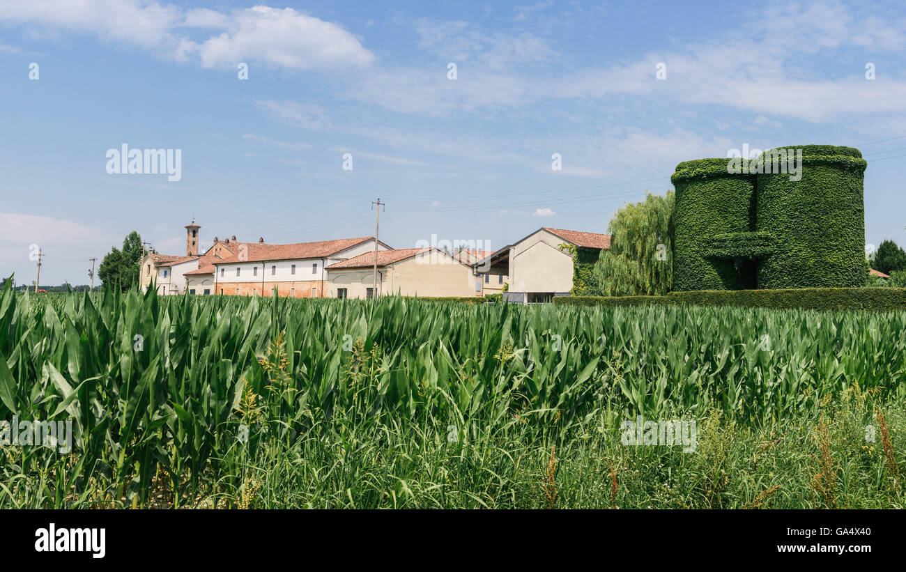 Italian farm with silo covered in leaves Stock Photo