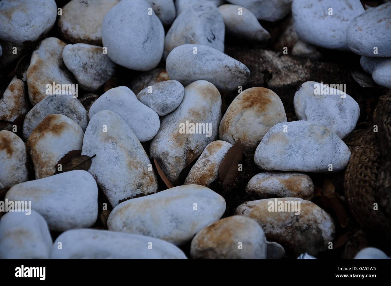 beautiful white stones in the ground Stock Photo
