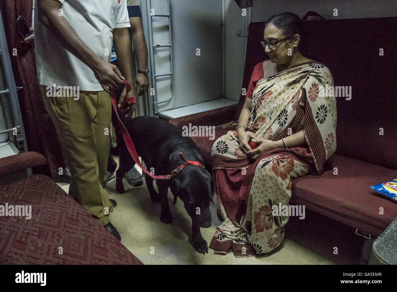 (160703) -- KOLKATA (INDIA), July 3, 2016 (Xinhua) -- An Indian security staff checks Rajdhani Express with a sniffer dog at Howrah station in Kolkata, capital of eastern Indian state West Bengal, July 3, 2016. The terror attack at a cafe in the Bangladeshi capital of Dhaka Friday night has created a panic in India's eastern state of West Bengal and some northeast states. International borders with Bangladesh were sealed Saturday by India's Border Security Force (BSF) and several states were put on high alert by Home Ministry. (Xinhua/Tumpa Mondal) (zjy) Stock Photo