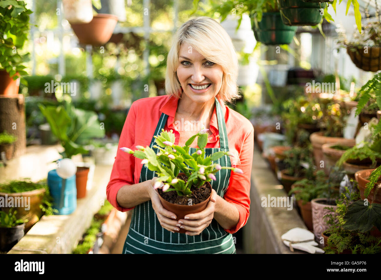 Woman holding potted plant at greenhouse Stock Photo - Alamy