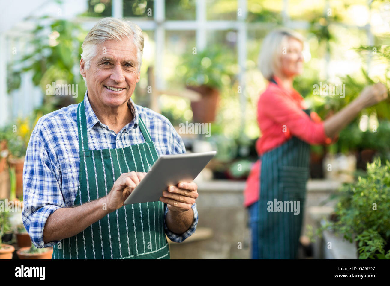 Senior man using digital tablet while woman working at greenhouse Stock Photo