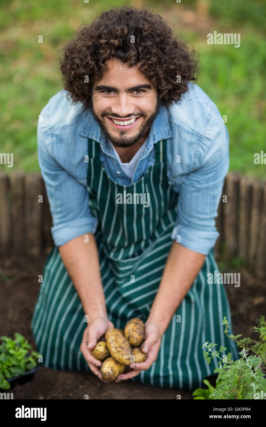 Happy male gardener harvesting potatoes Stock Photo