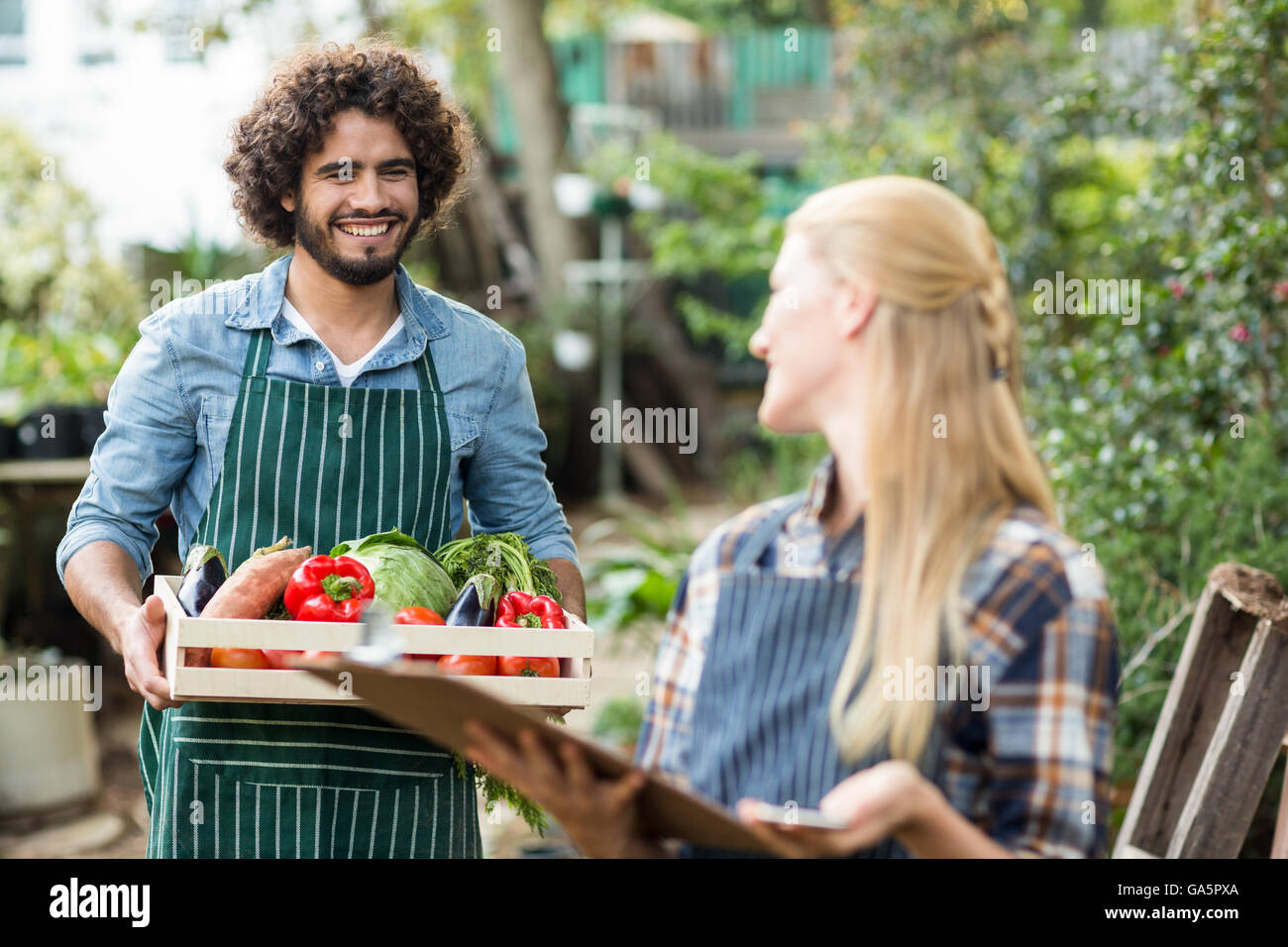 Male gardener looking at woman while holding vegetable crate Stock Photo