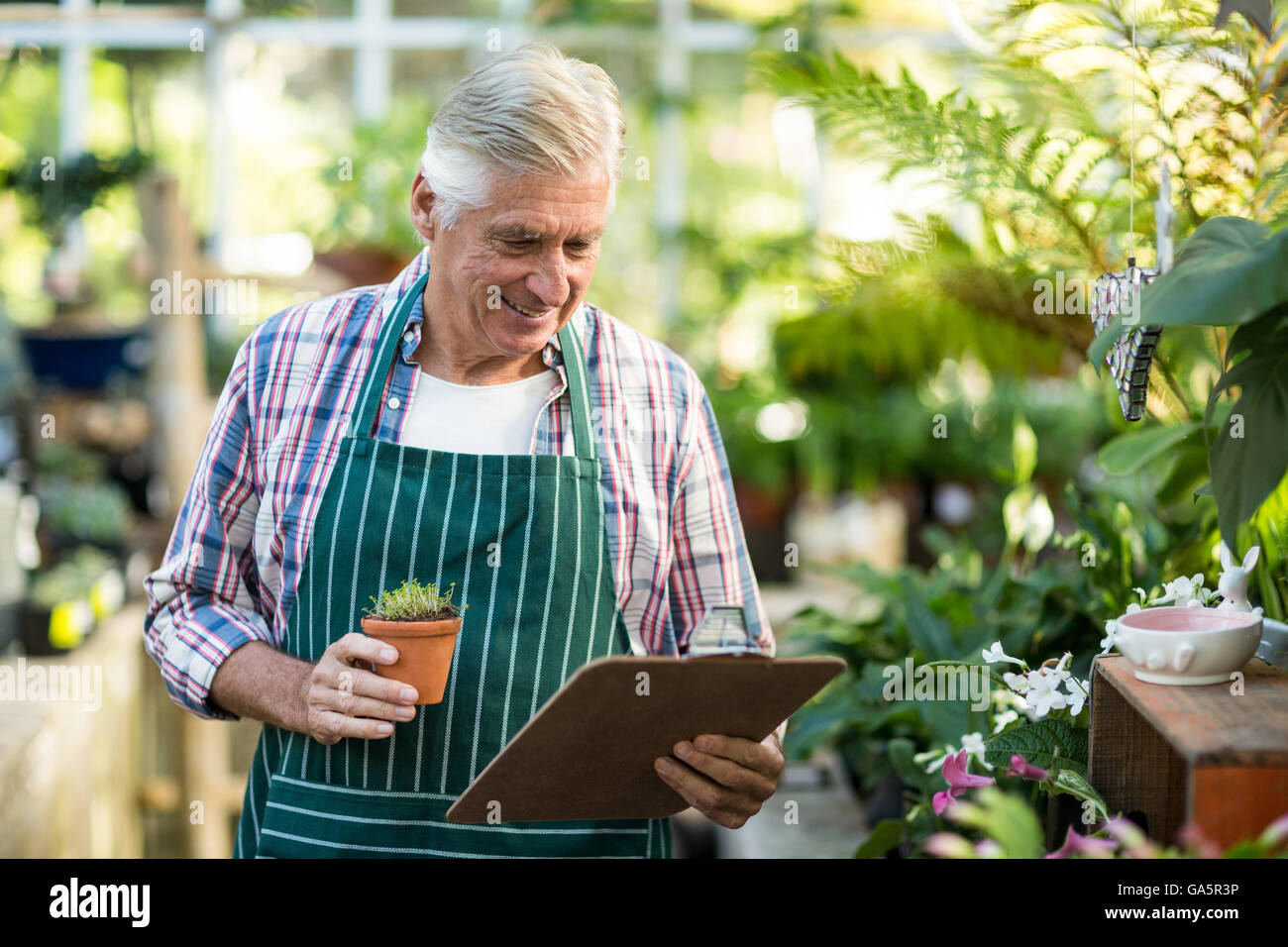 Male gardener holding potted plant and clipboard Stock Photo