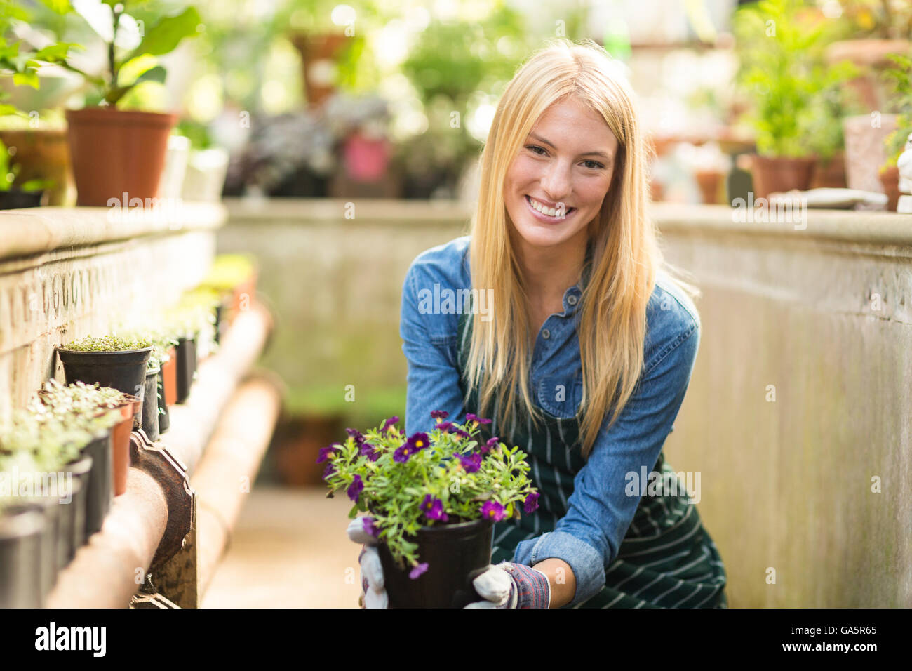 Happy young woman holding flowering plant Stock Photo - Alamy