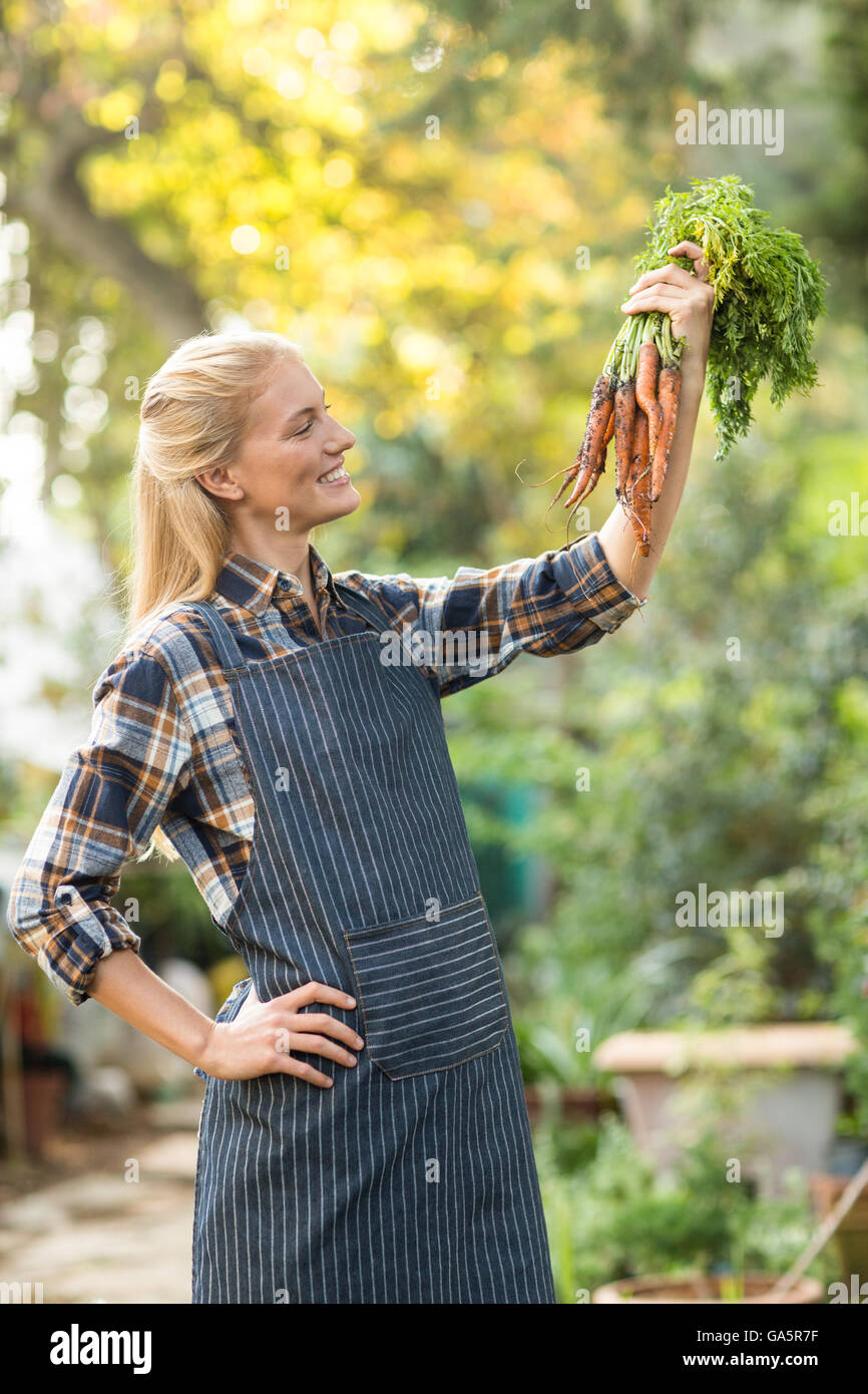 Female gardener looking at harvested carrots Stock Photo - Alamy