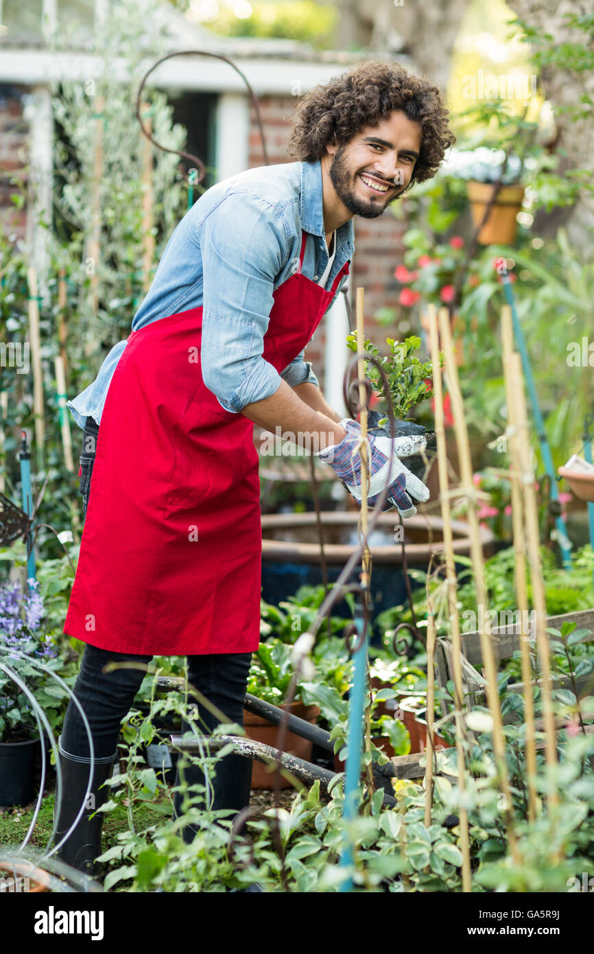 Male gardener working outside greenhouse Stock Photo