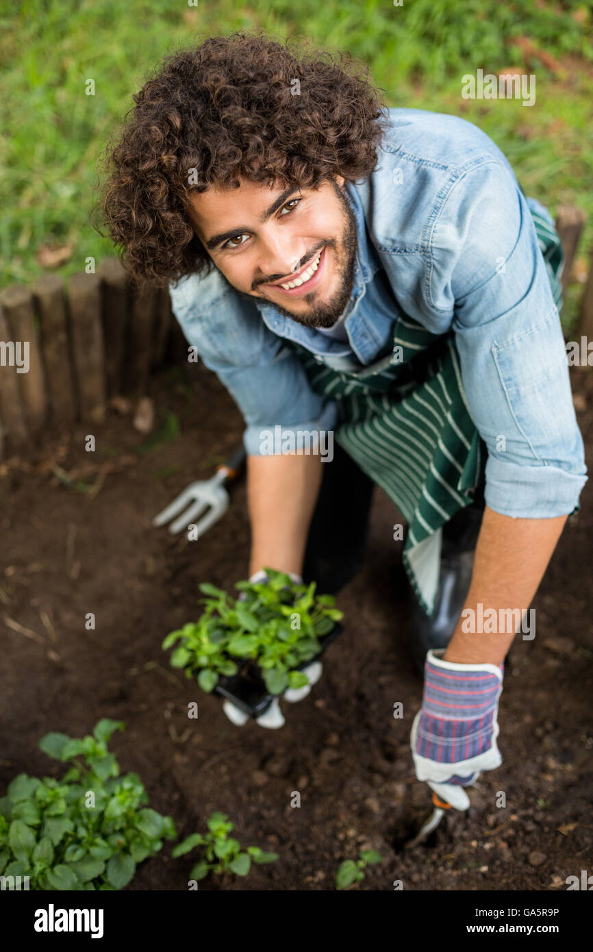 Smiling male gardener planting outside greenhouse Stock Photo