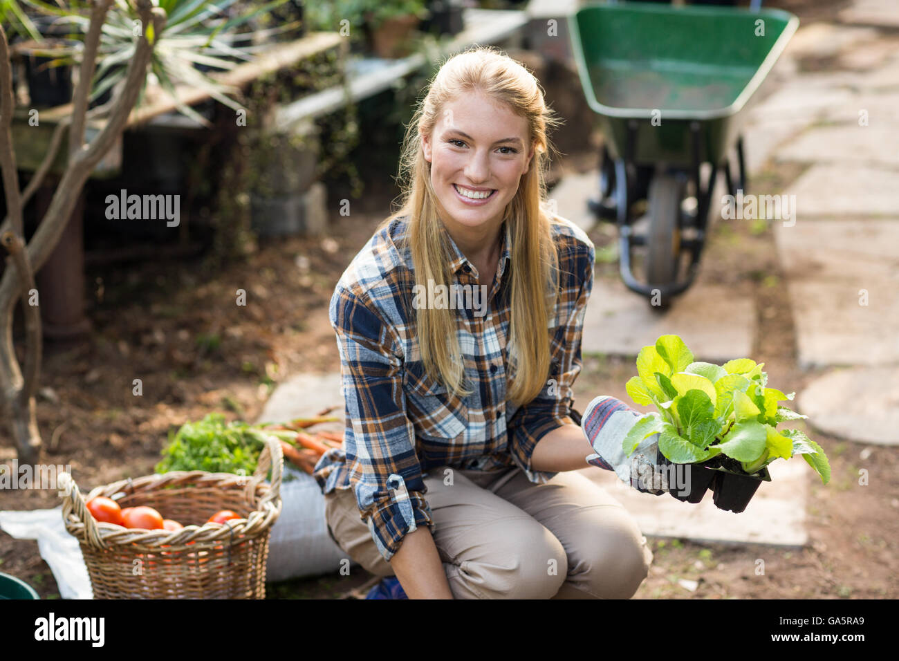 happy female gardener holding sapling Stock Photo - Alamy