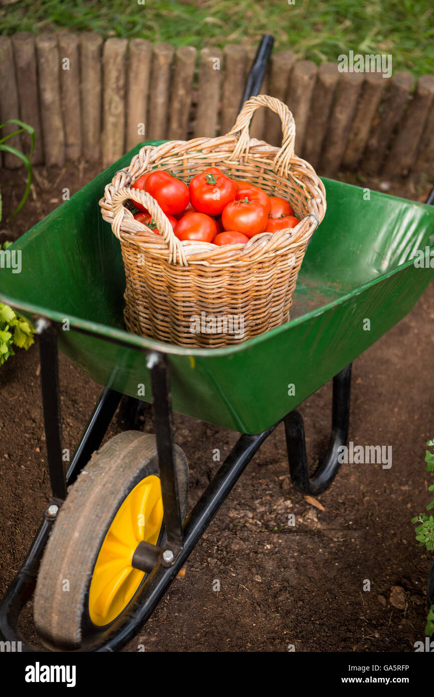 Wheelbarrow vegetable garden gardening hires stock photography and