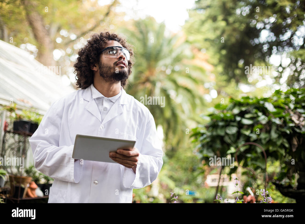 Male scientist inspecting plants at greenhouse Stock Photo