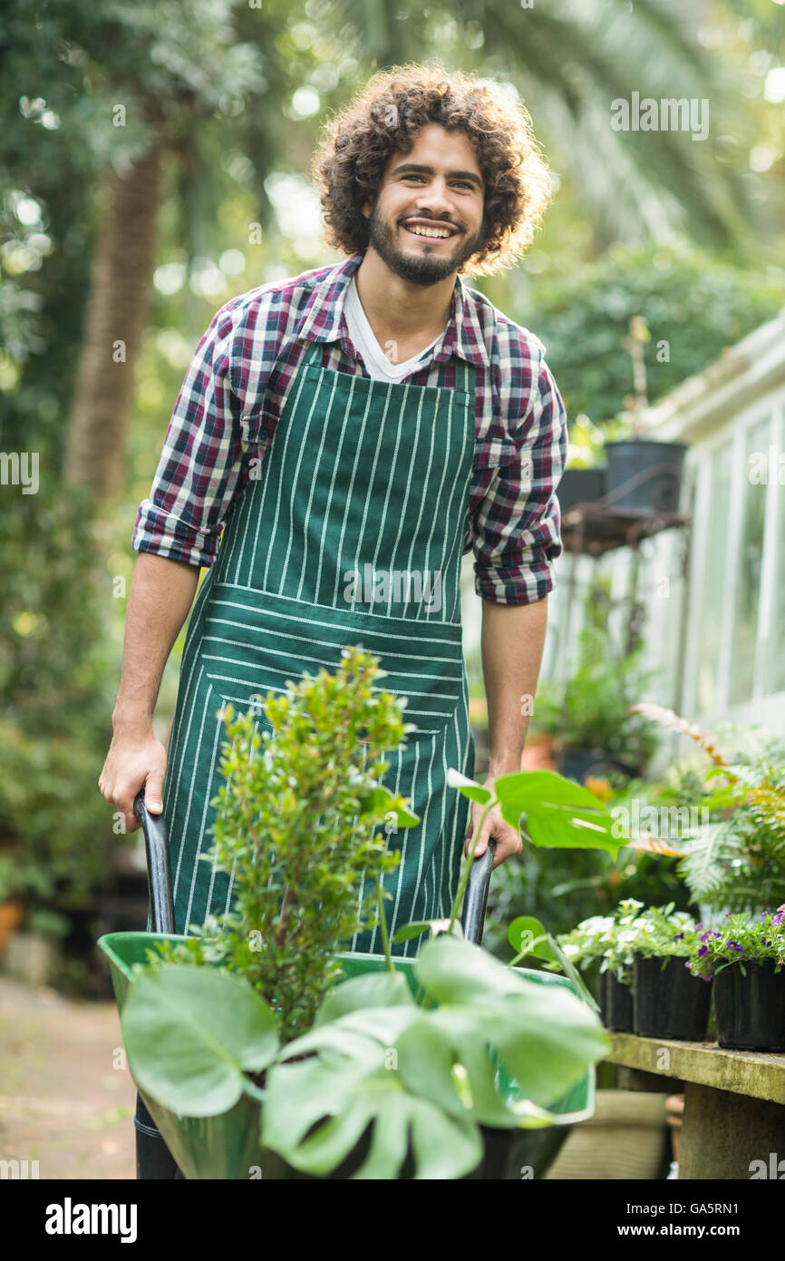 Happy male gardener carrying plants in wheelbarrow Stock Photo