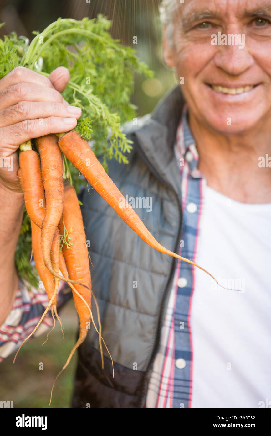 Portrait of happy gardener holding carrots at garden Stock Photo - Alamy