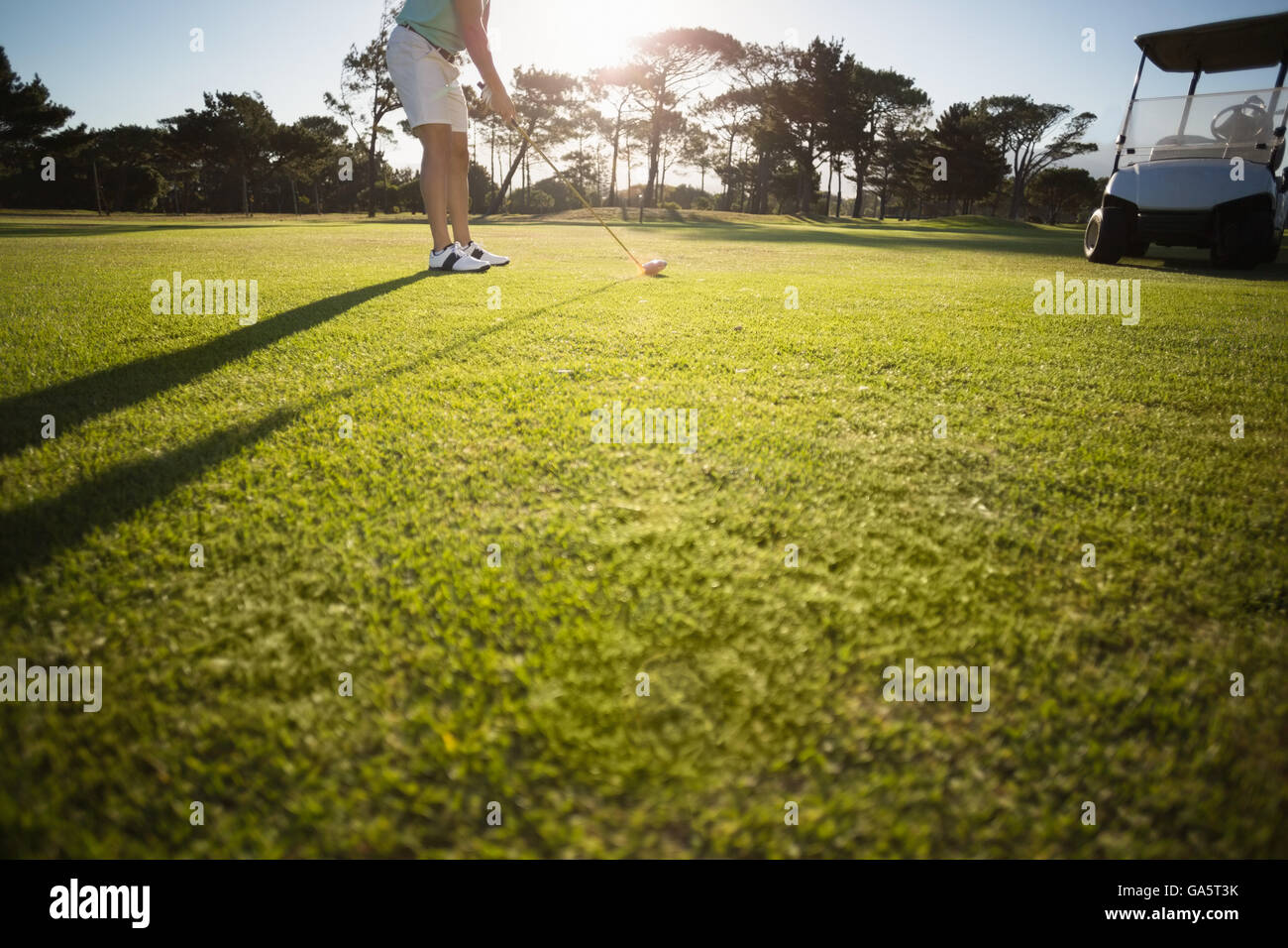 Low section of male golfer Stock Photo