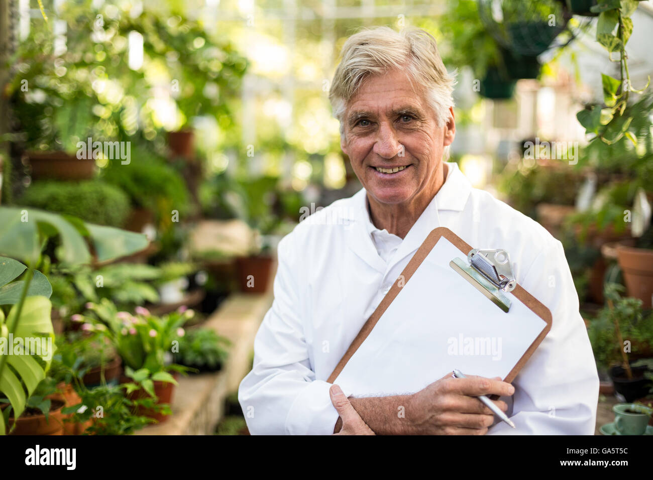 Male scientist holding clipboard at greenhouse Stock Photo