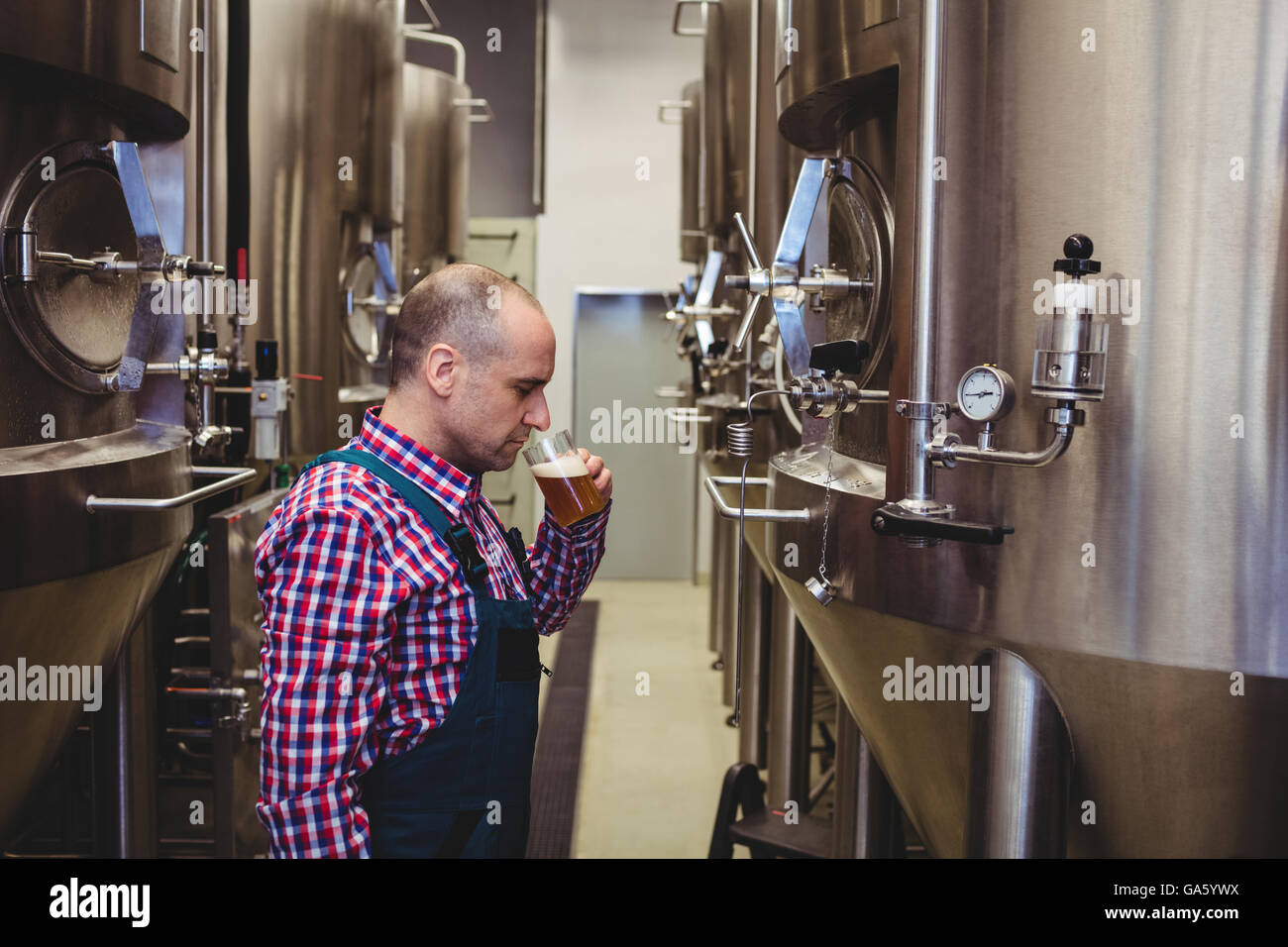 Manufacturer tasting beer at brewery Stock Photo