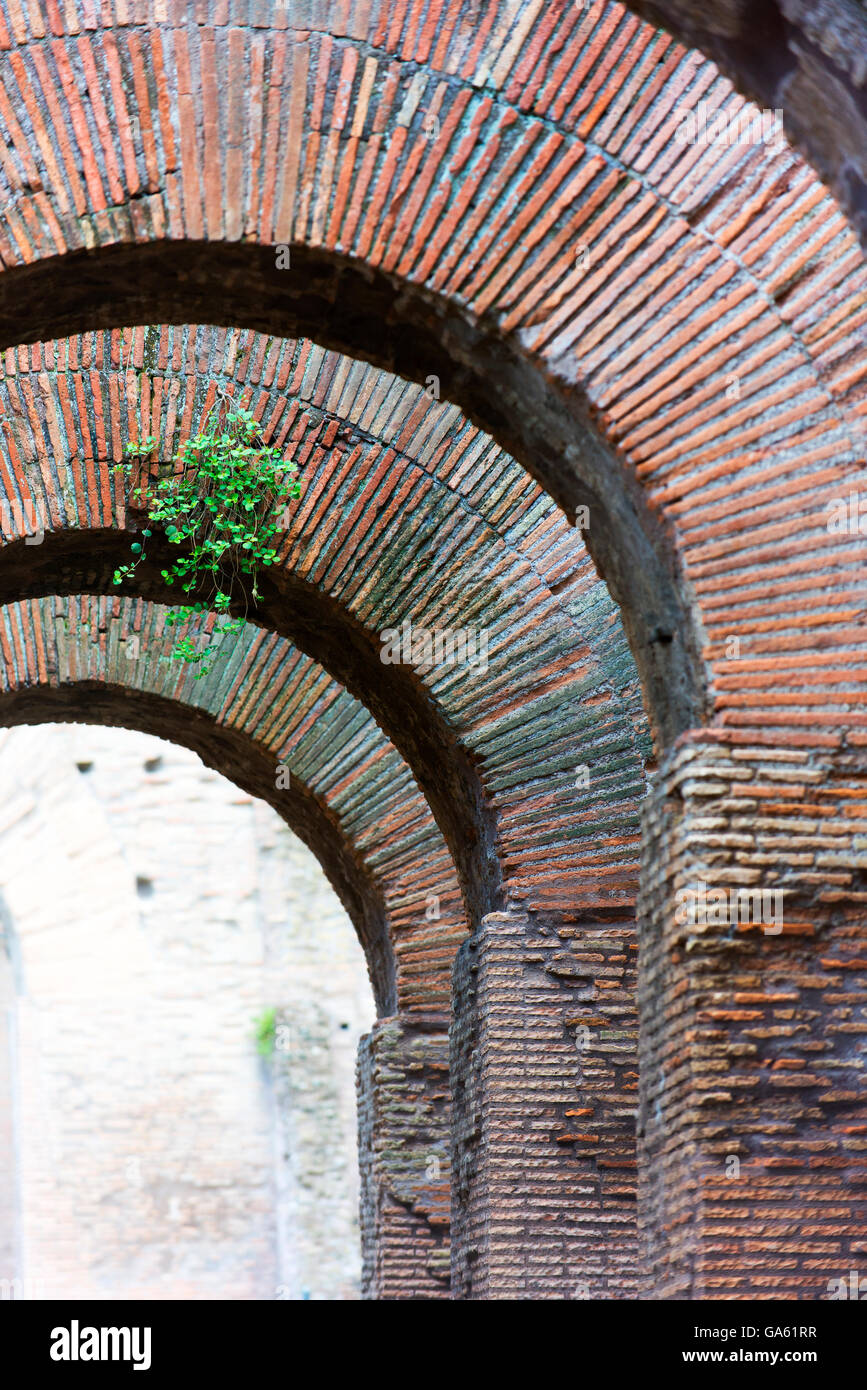 Brick arches in Rome's Coliseum Stock Photo Alamy