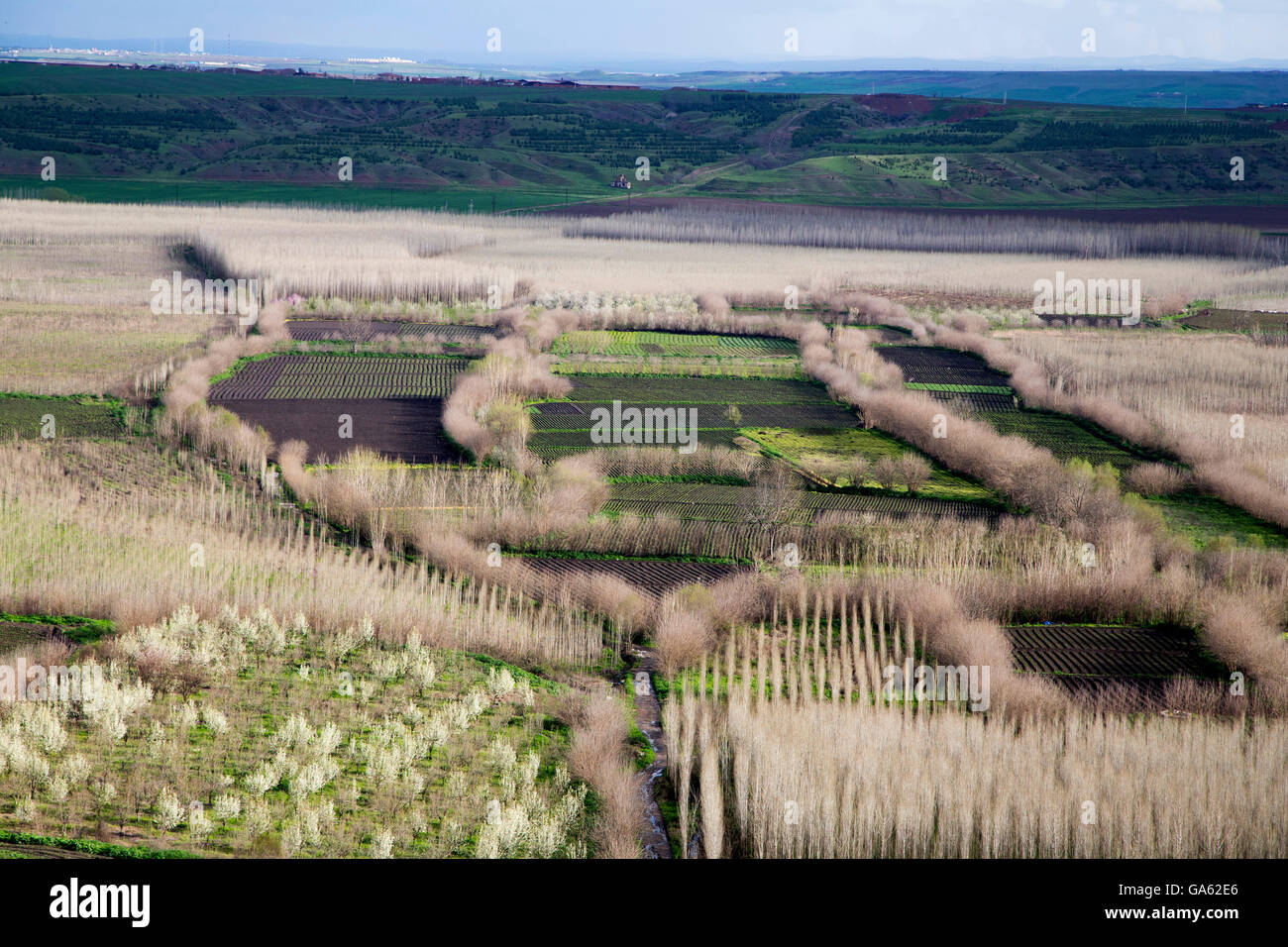 Hevsel Gardens, are the seven hundred hectares fertile lands near Tigris shore, between the Diyarbakır Fortress and the river. Stock Photo