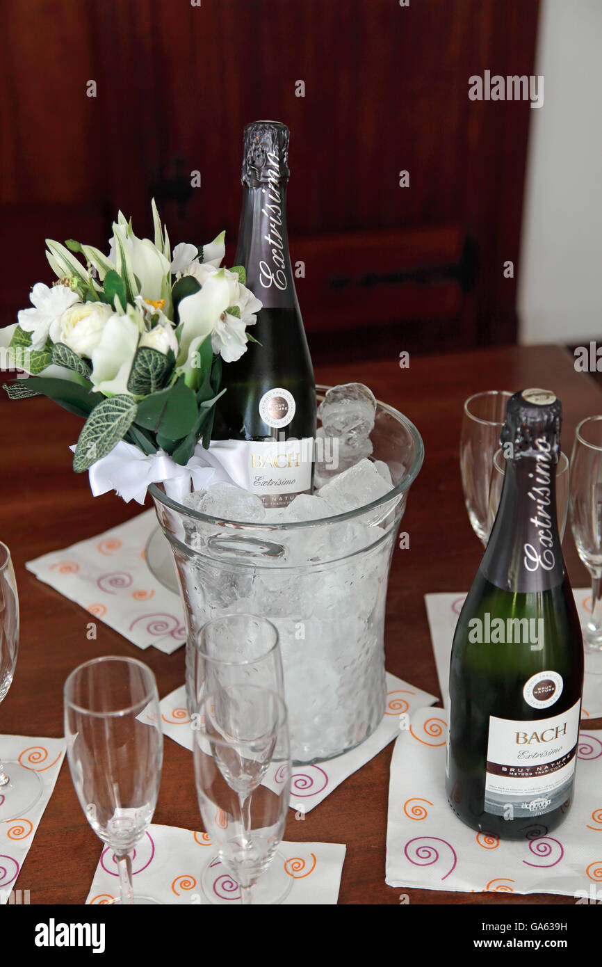 Cava and flowers Stock Photo