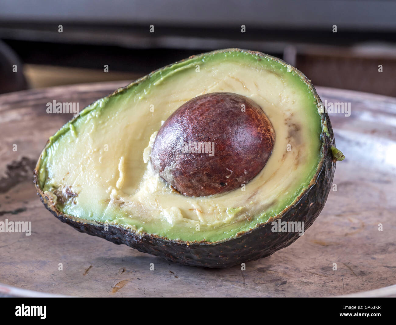 avocado, Persea americana  is a tree that is native to South Central Mexico Stock Photo