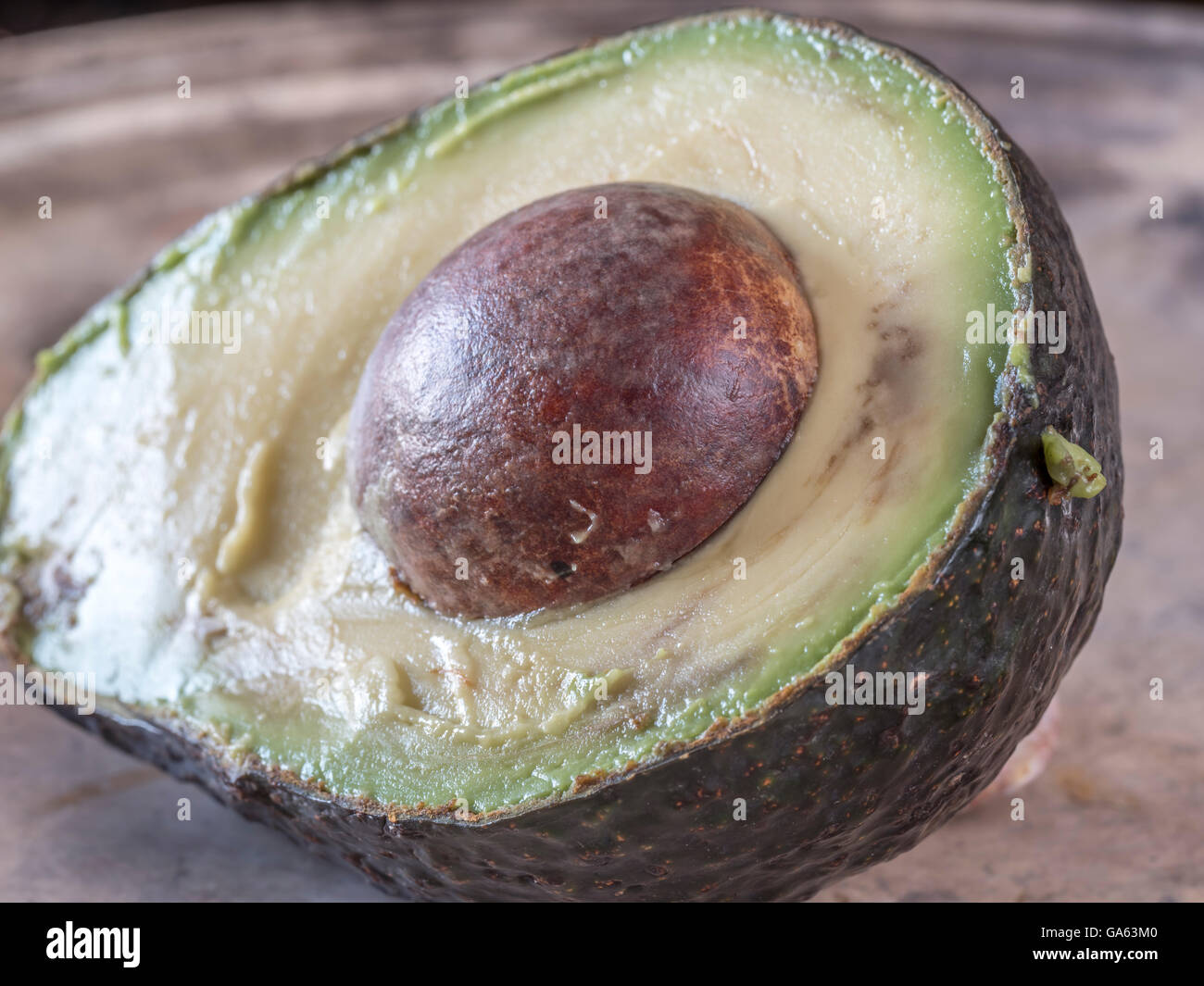 avocado, Persea americana is a tree that is native to South Central