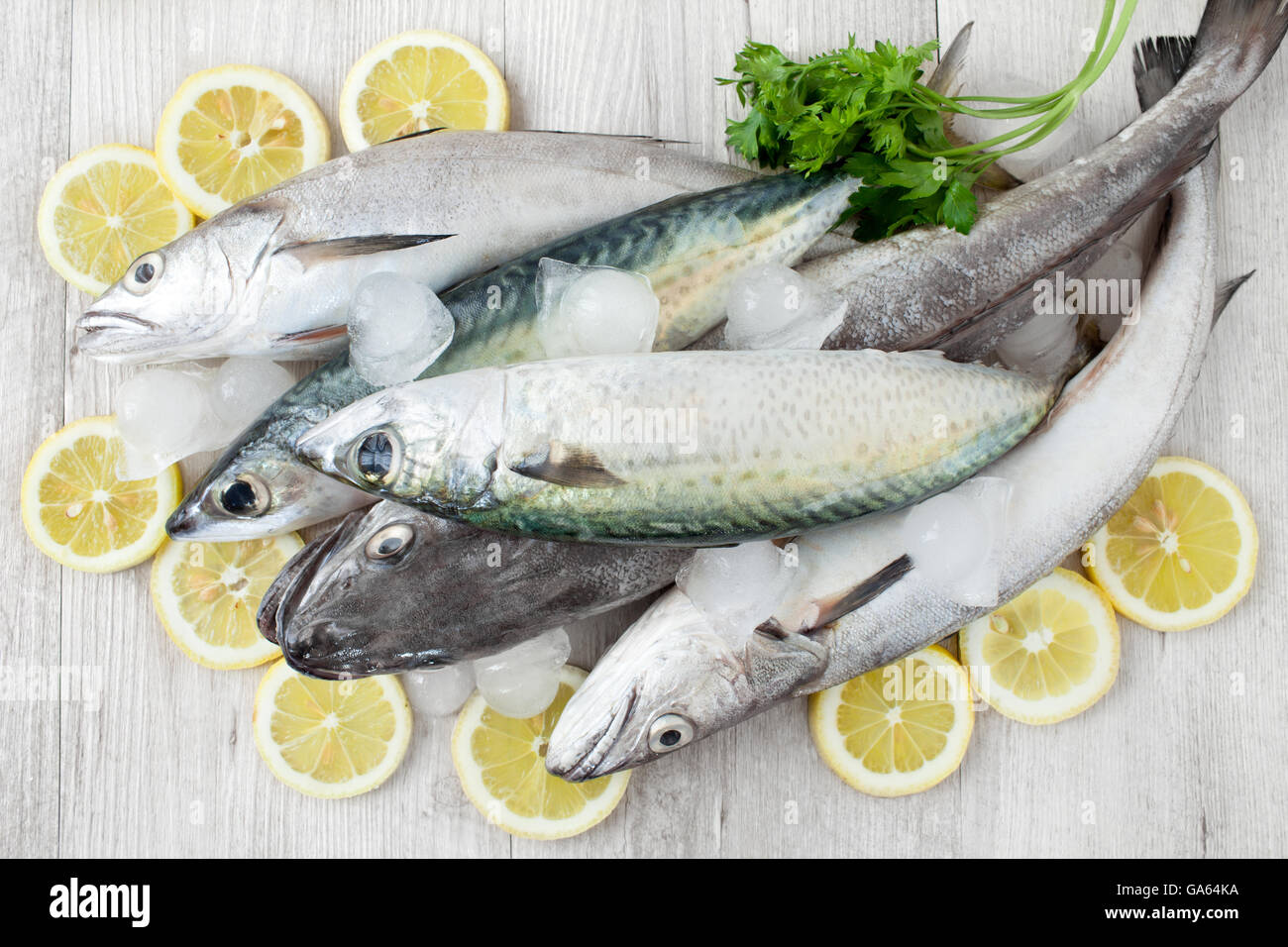 Mackerel And Codfish Stock Photo Alamy