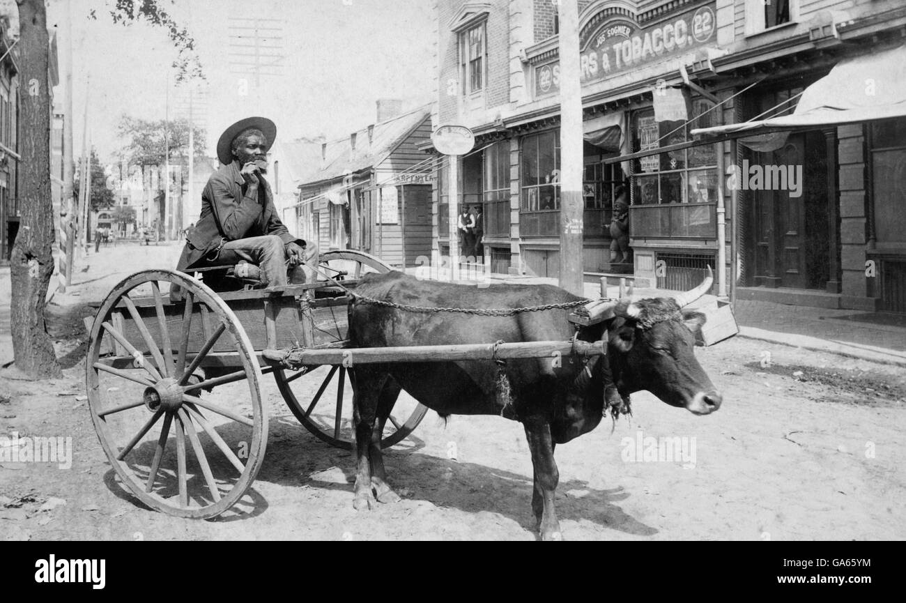 African American man sitting on an ox cart on a street in Savannah, Georgia, shortly after emancipation. Photo by William E Wilson, c.1867-1890 Stock Photo