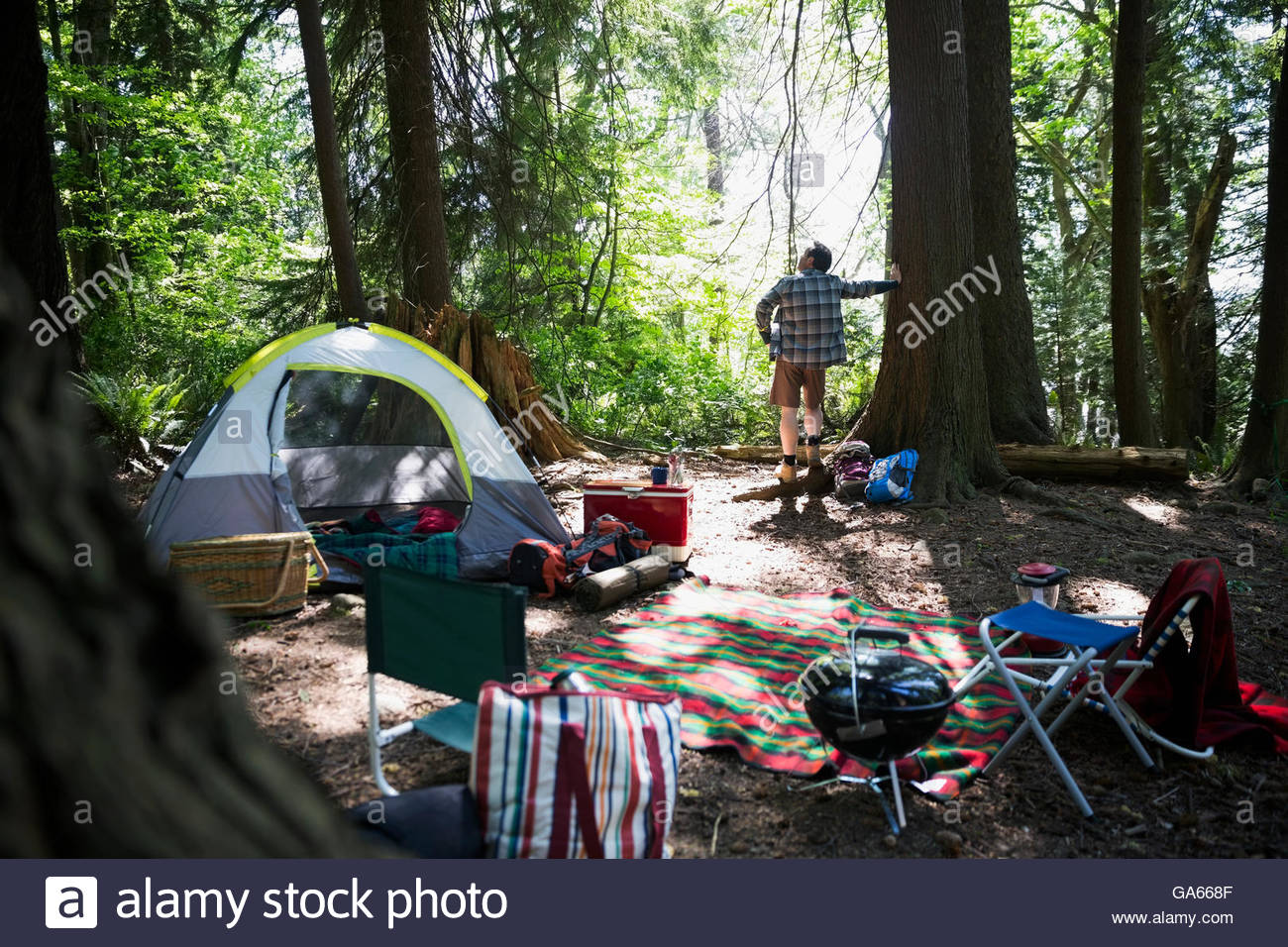 Man leaning on tree looking up at campsite Stock Photo