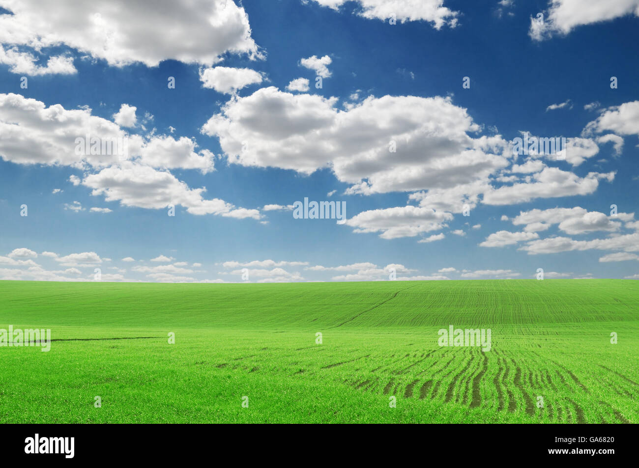 green field and blue sky Stock Photo - Alamy