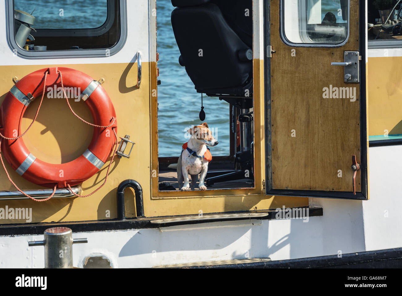 Dog in a life jacket on board the boat Stock Photo Alamy