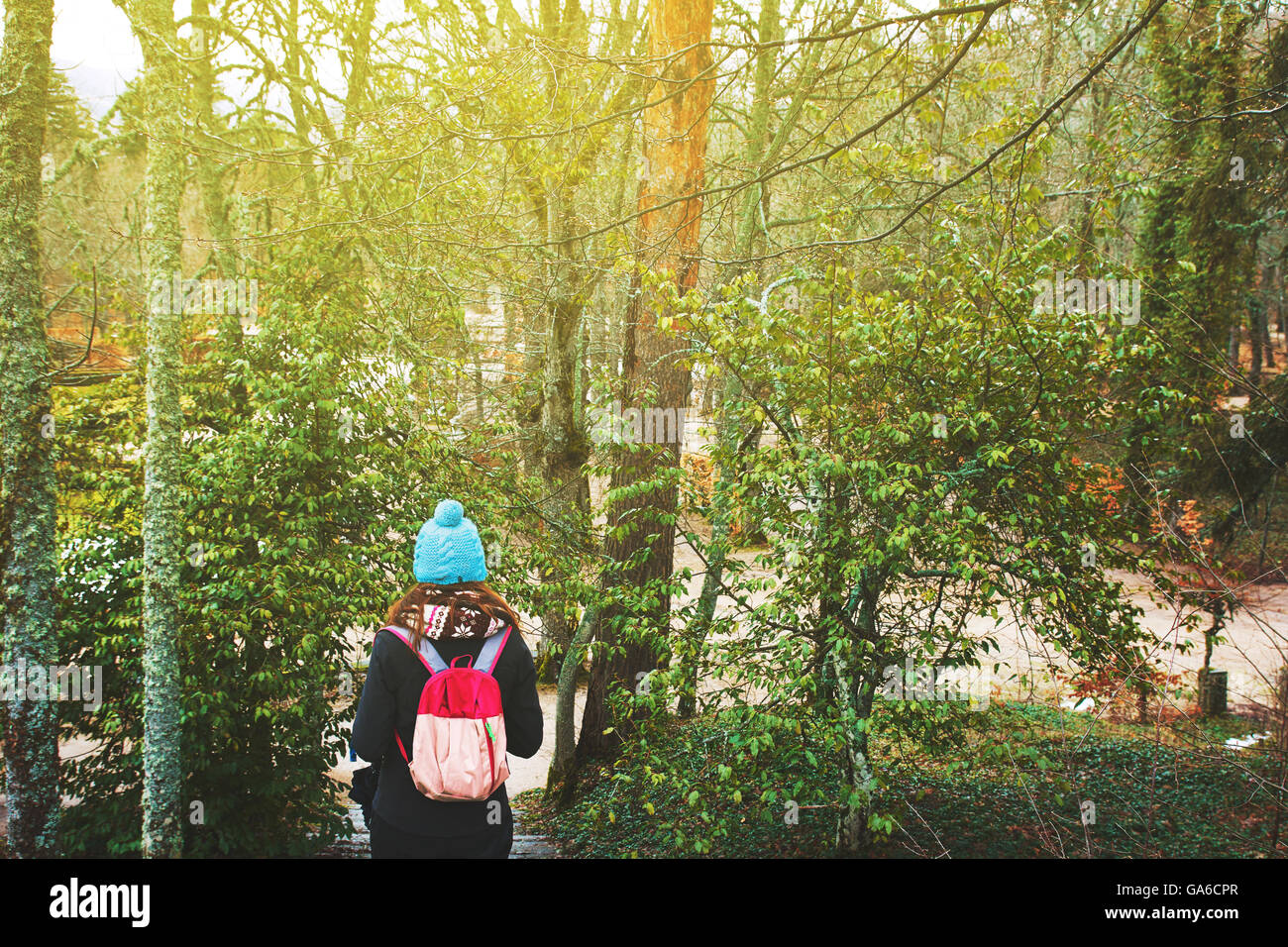 Female hiker hiking, trough forest. Rear view Stock Photo - Alamy