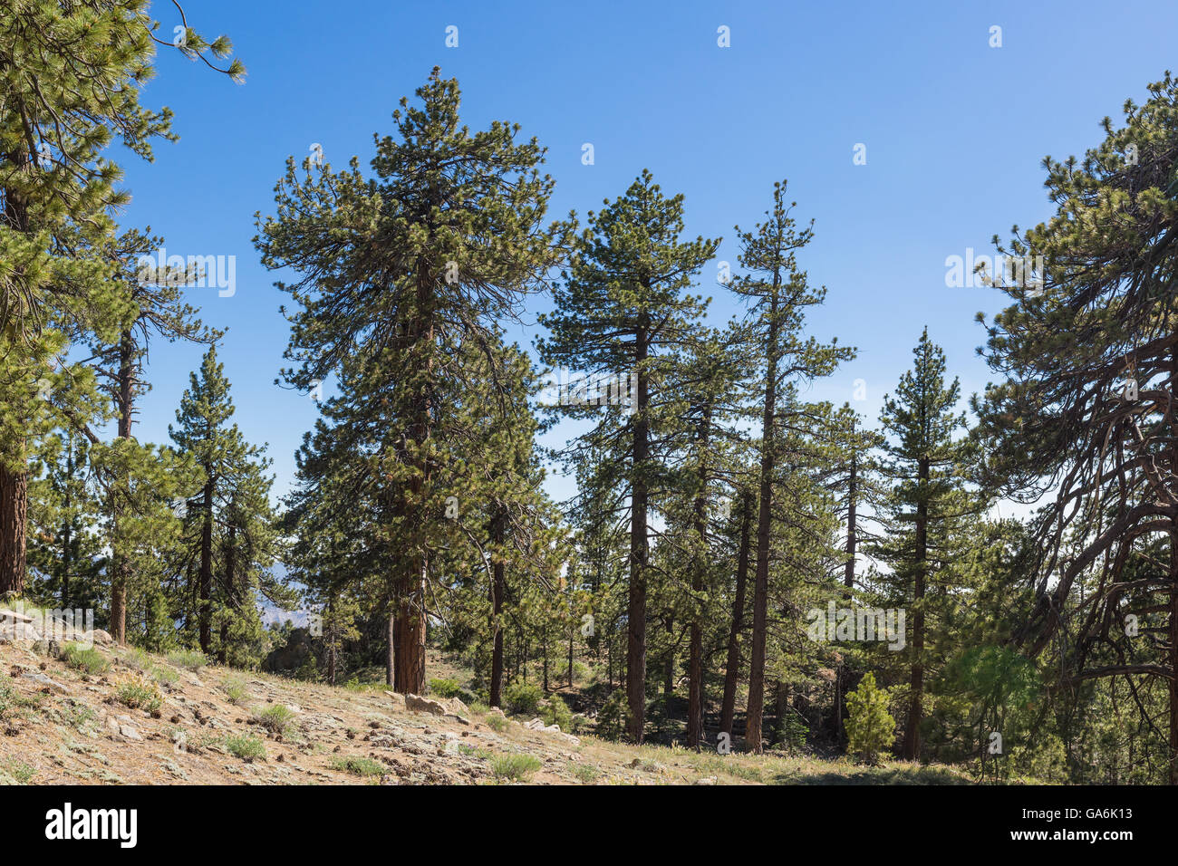 Mount frazier hires stock photography and images Alamy