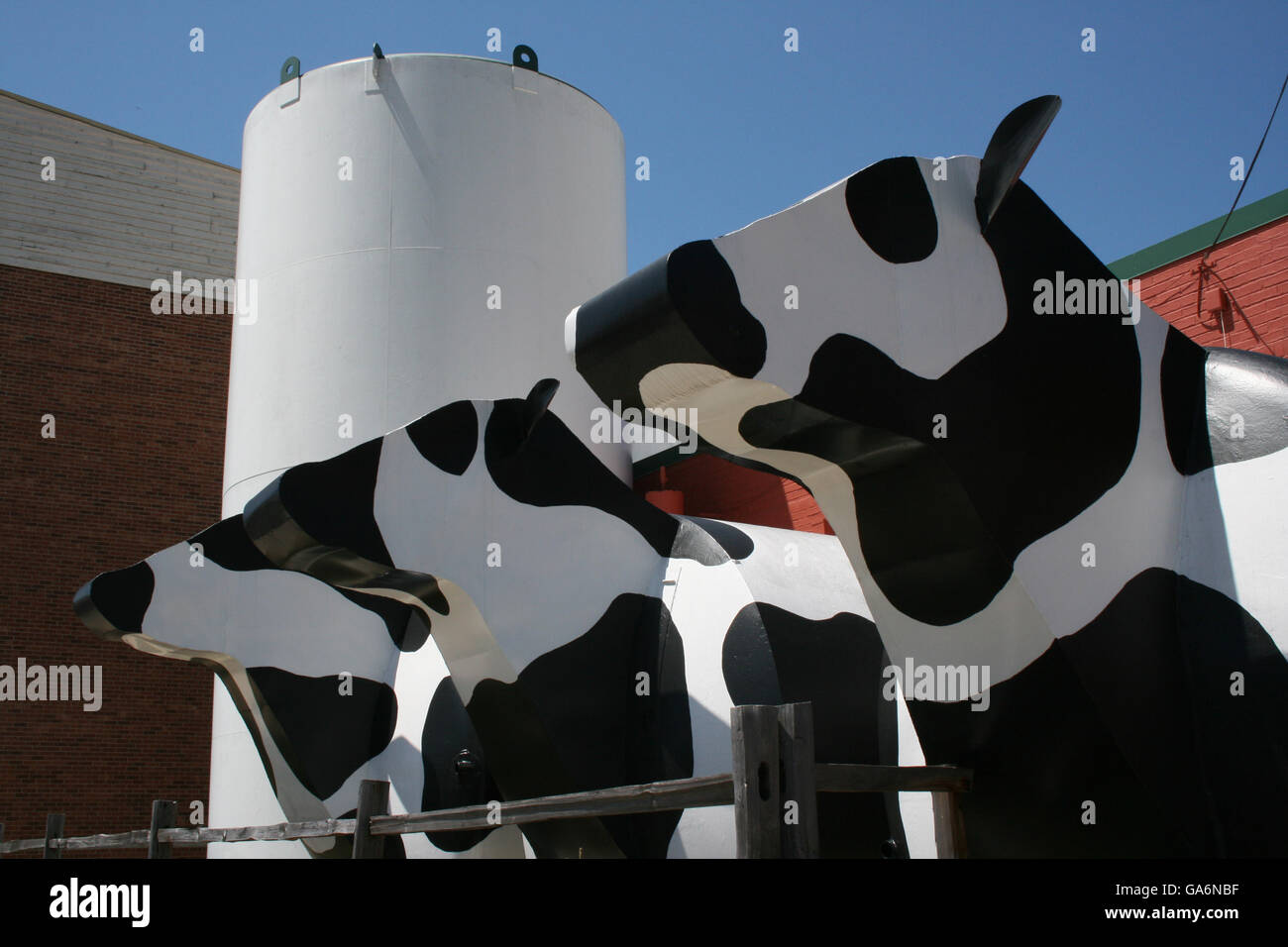 Metal cows hi-res stock photography and images - Page 3 - Alamy