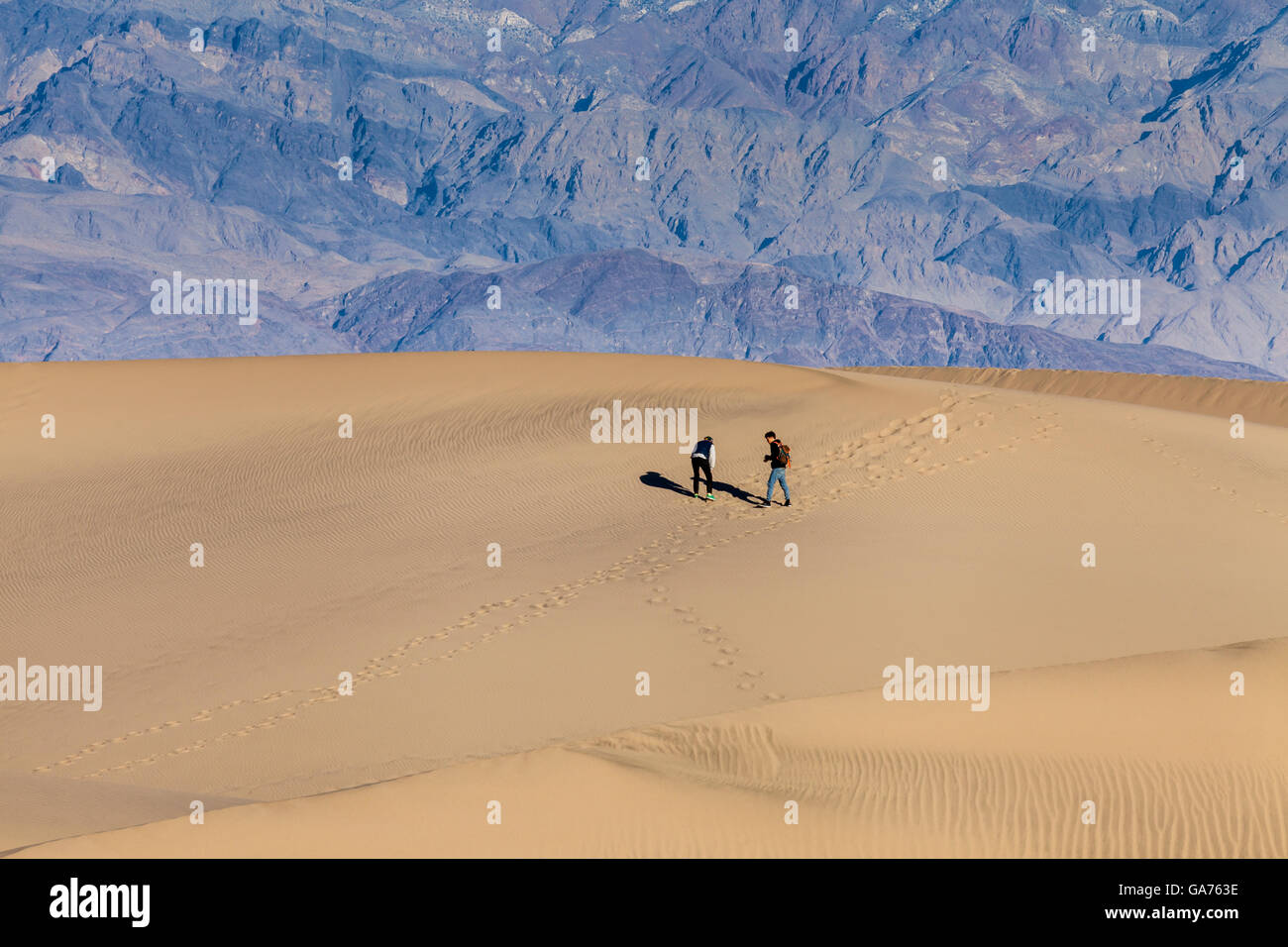 Two men on top of a sand dune at Mesquite Sand Dunes in Death Valley National Park, California, USA Stock Photo