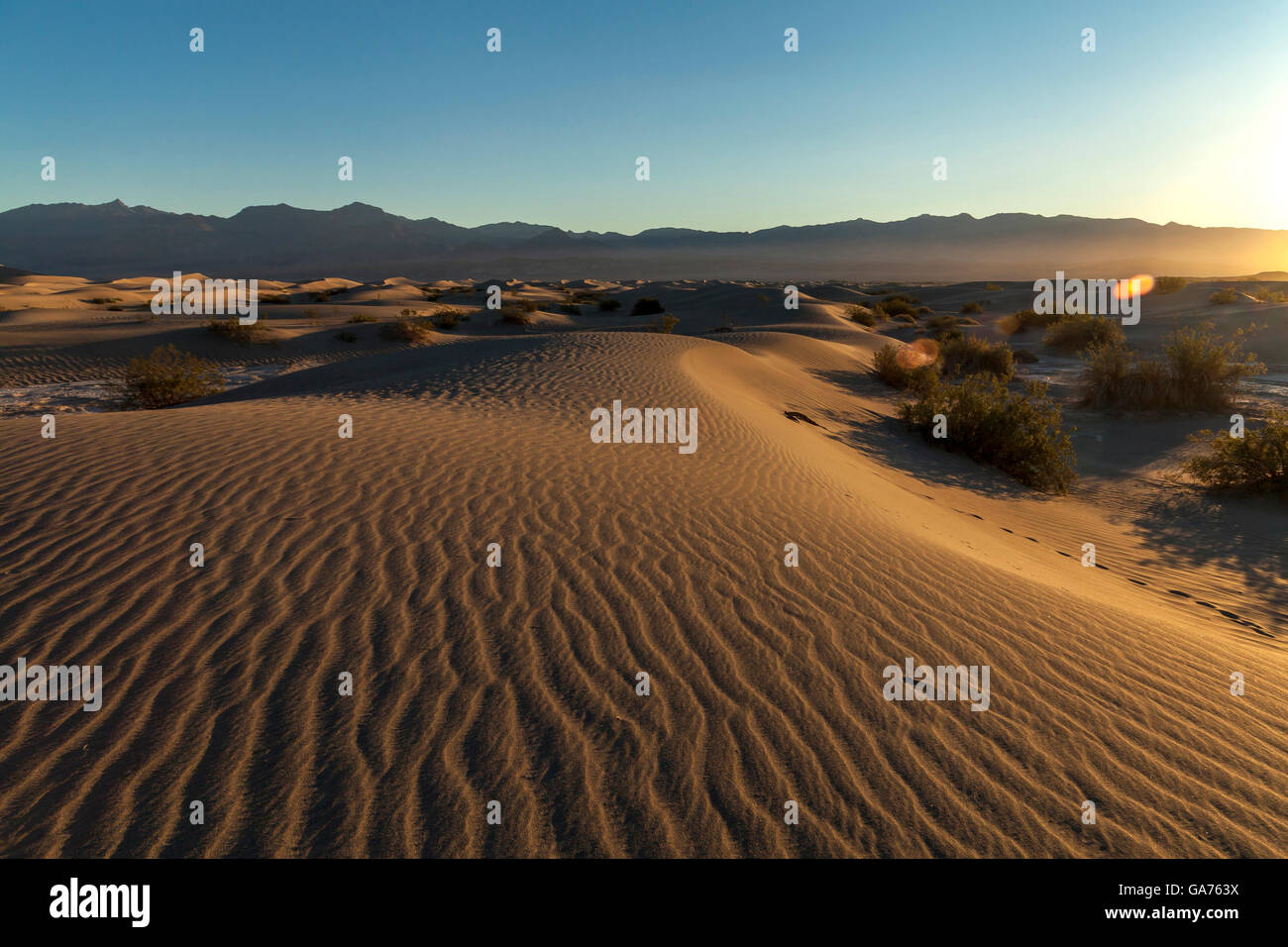 Mesquite Sand Dunes in Death Valley National Park, California, USA Stock Photo