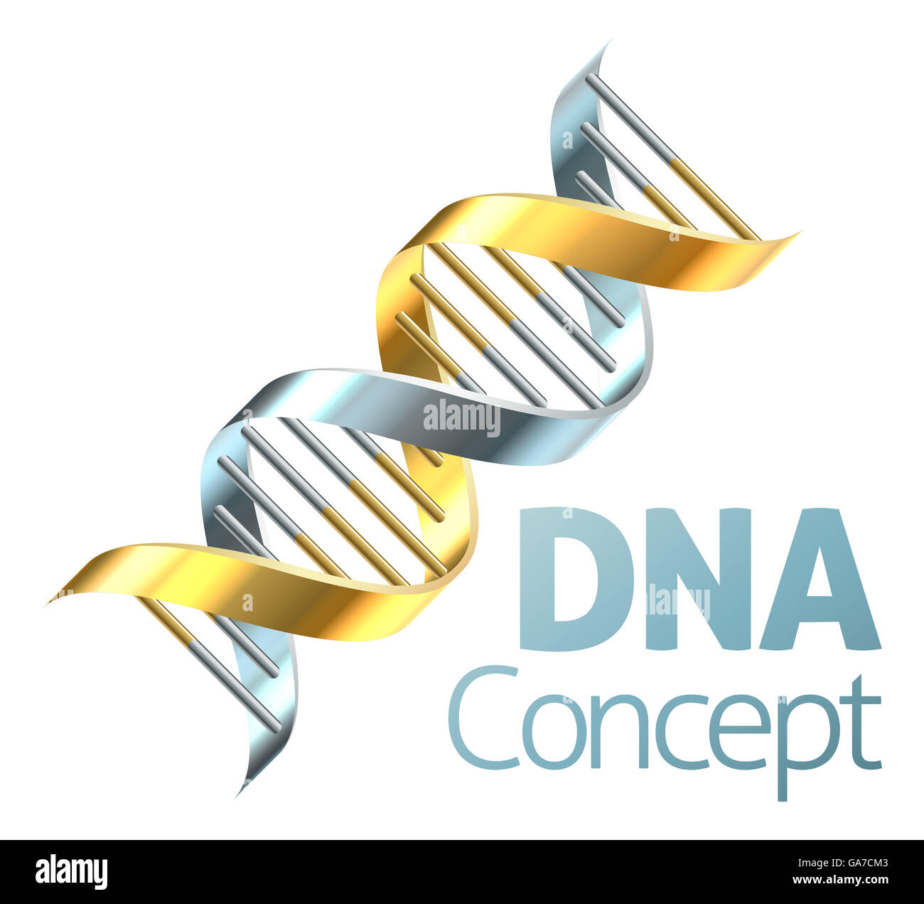 A double helix DNA chromosome strand in gold and silver genetics concept Stock Photo