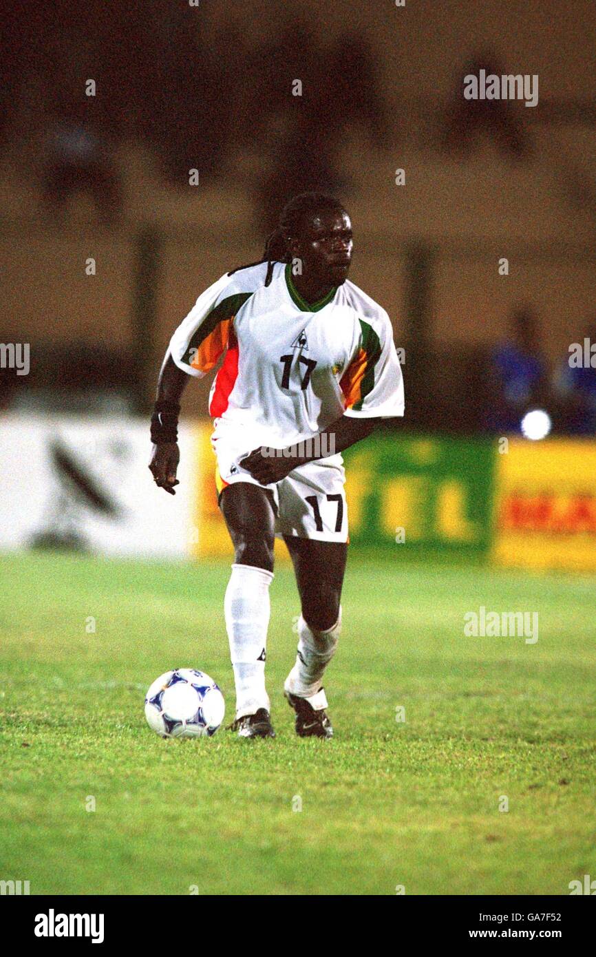 Senegal Coly High Resolution Stock Photography And Images Alamy