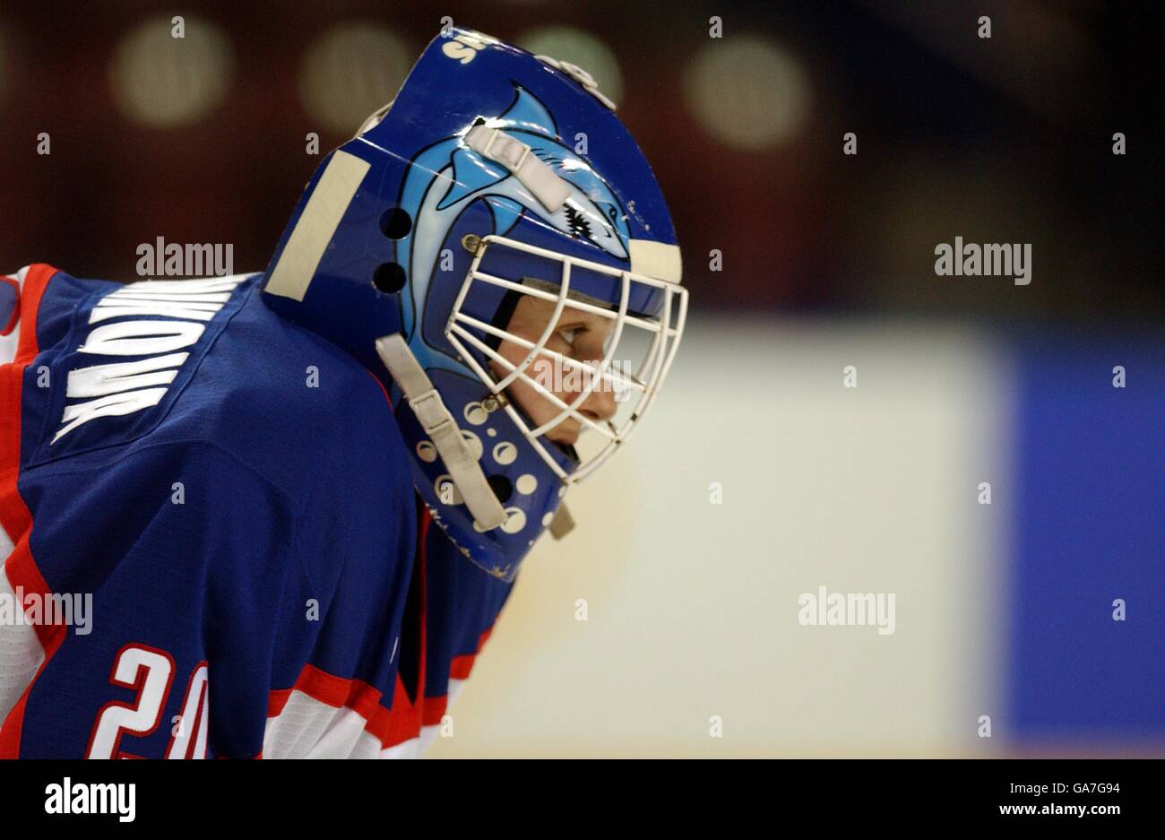 Ice hockey at the 2002 winter olympics