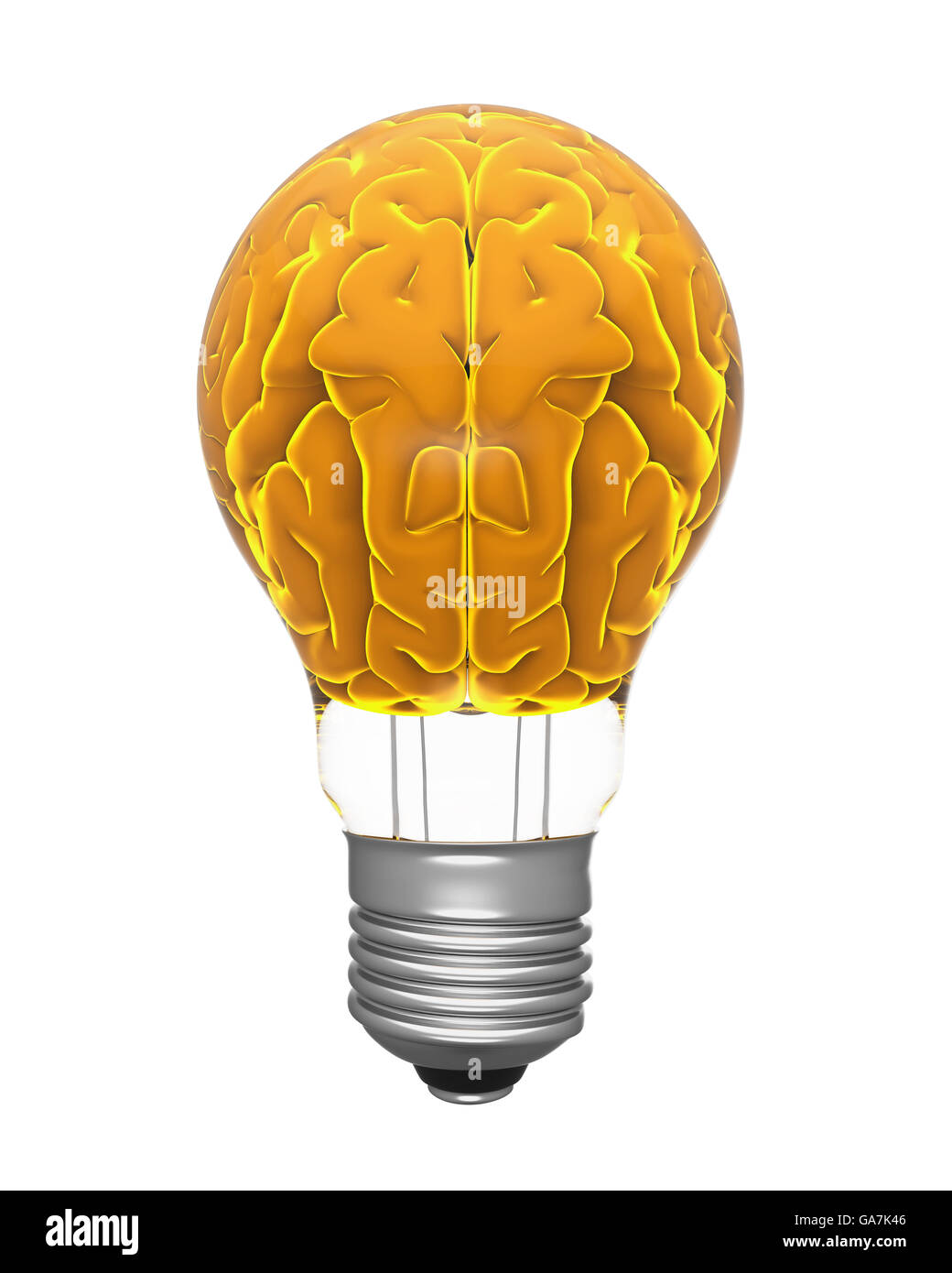 Light Bulb and Human Brain Stock Photo Alamy