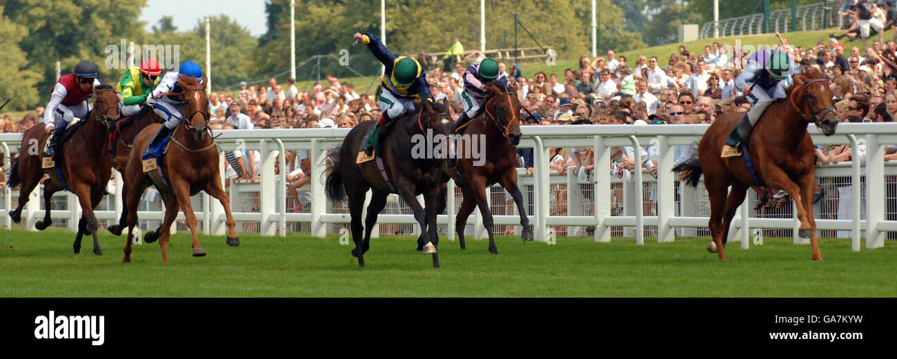 Horse Racing Dubai Duty Free Shergar Cup Ascot Racecourse. Genki
