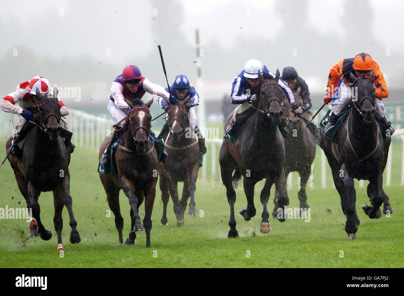 Horse Racing - Newbury Stock Photo