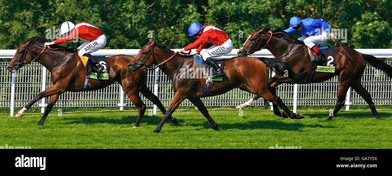 Horse Racing - Goodwood Stock Photo - Alamy