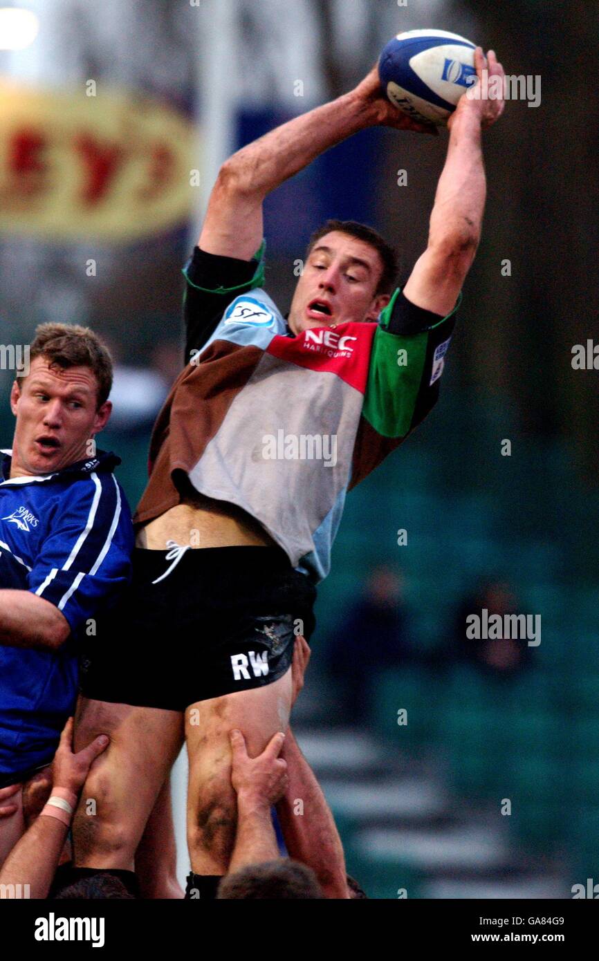 Roy Winters Rugby Nec Harlequins Roy Winters High Resolution Stock Photography and Images ...