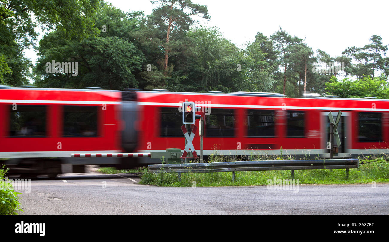 Europe, Germany, North Rhine-Westphalia, Roesrath, gated railroad crossing in the Koenigsforst. Stock Photo