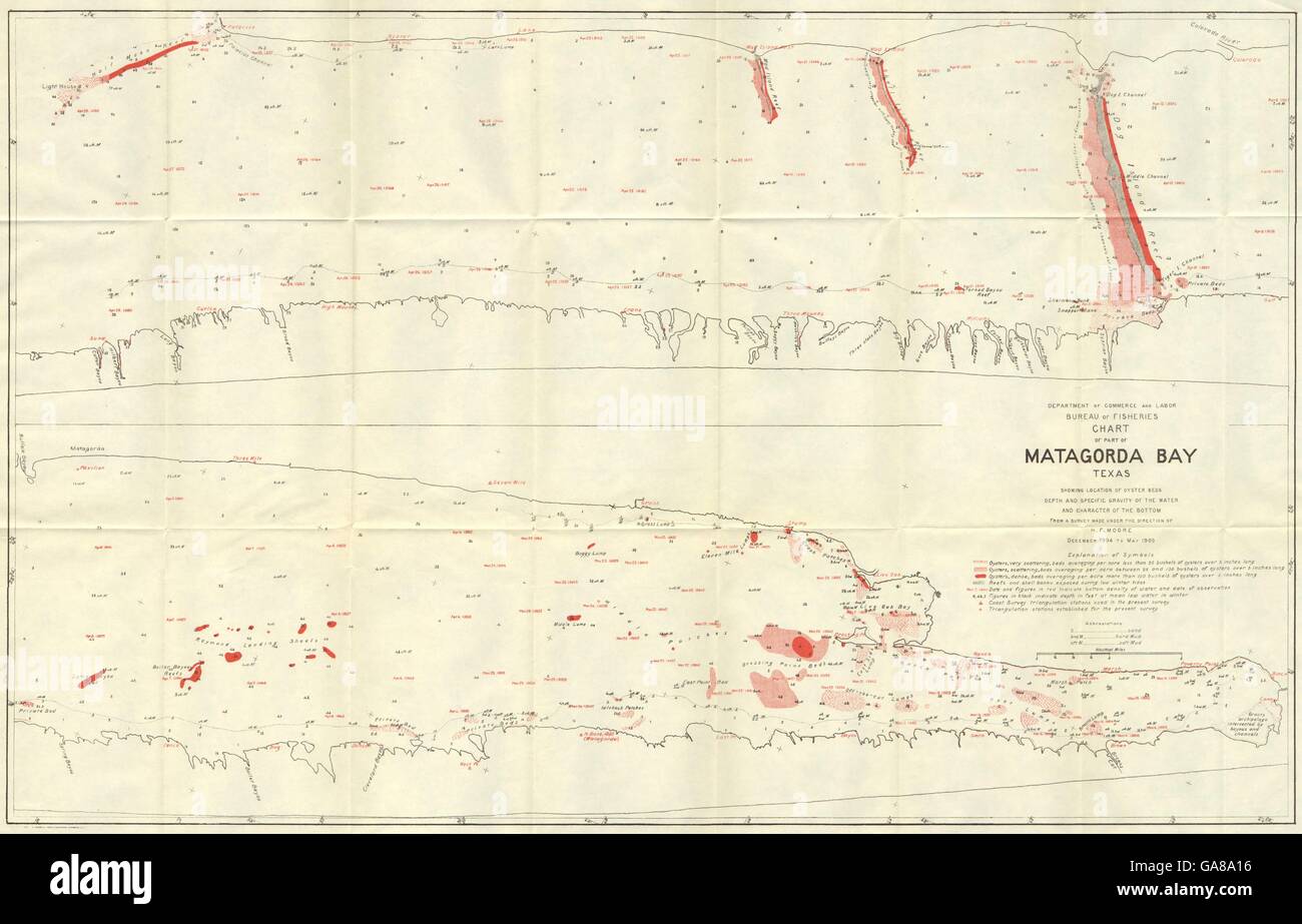 TEXAS Matagorda Bay Oyster beds fisheries chart, 1907 antique map Stock Photo Alamy