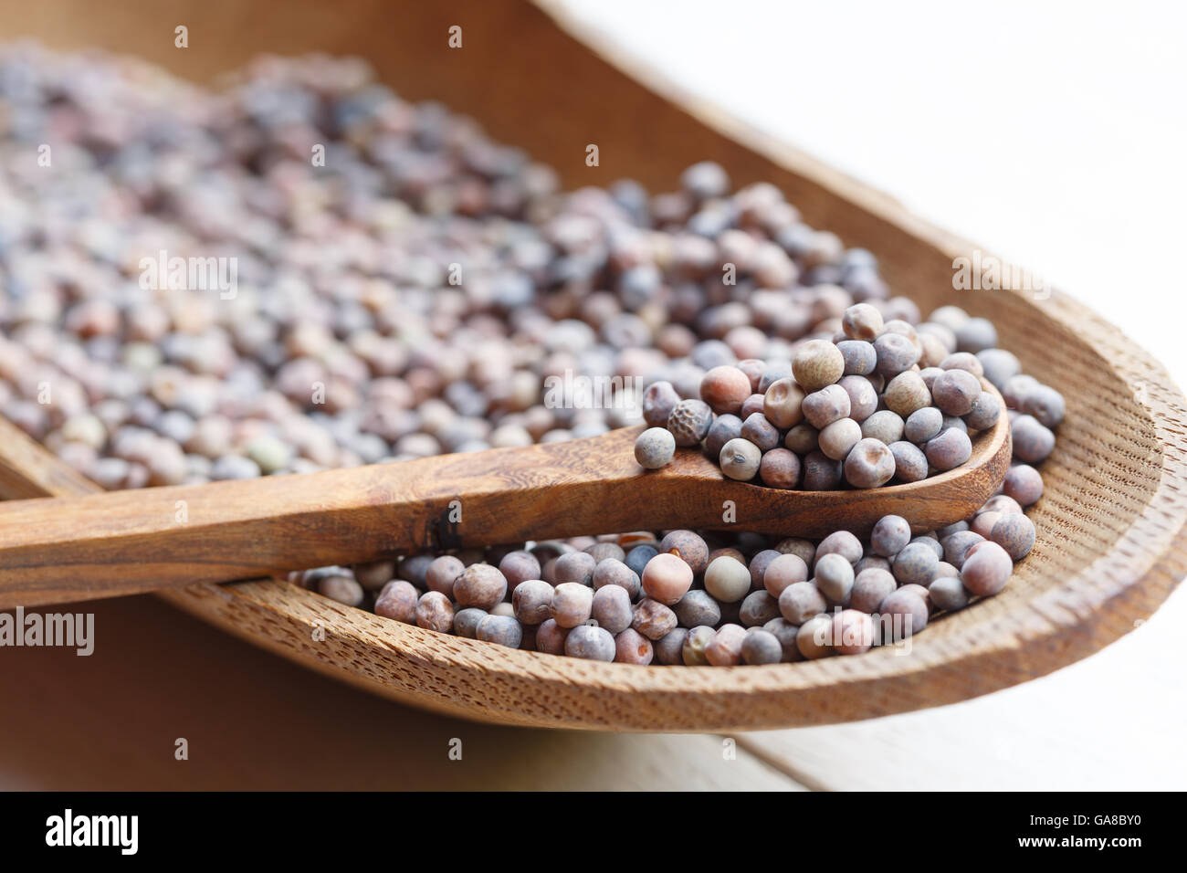 Roveja, Pisum Arvense,  wild pea, high protein legume from Umbria Stock Photo