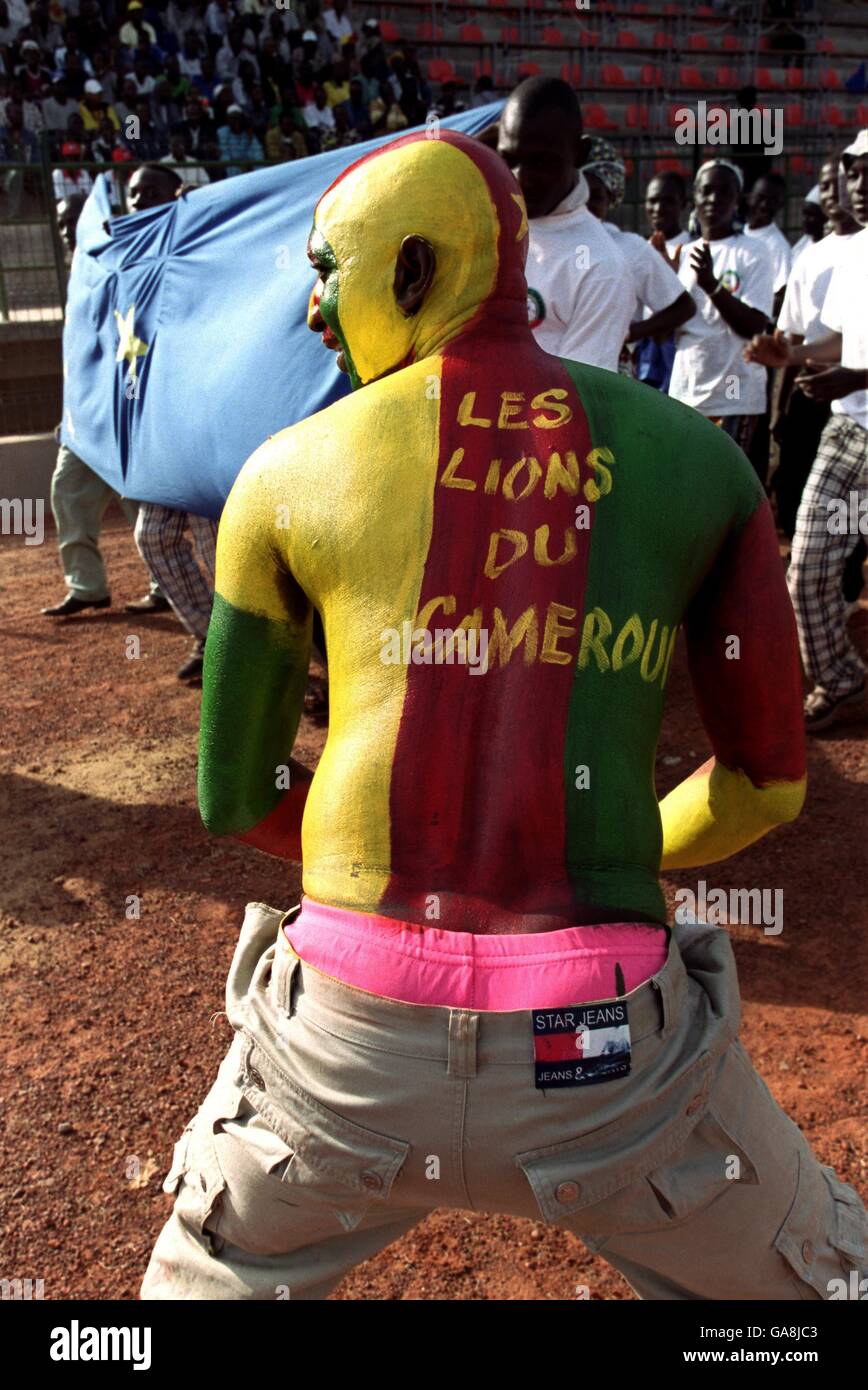 Soccer - African Nations Cup Mali 2002 - Group C - Cameroon v DR Congo. A Cameroon fan painted in the national colours Stock Photo